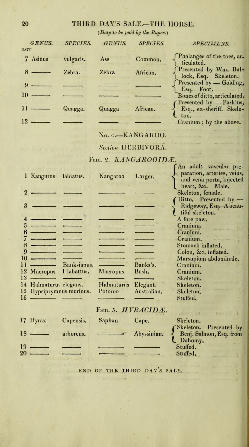 (Duty to be paid by the Buyer.) GENUS. LOT 7 Asinus 8 9 10 11 12 SPECIES. GENUS. SPECIES. SPECIMENS. vulgaris. Zebra. Ass Zebra Common. «j African. < fPhalanges of the toes, ar- L ticulated. fPresented bv Wm. Bul- [ lock, Esq. Skeleton, rPresented by — Golding, [_ Esq. Foot. Bones of ditto, articulated. 'Presented by — Parkins, Esq., ex-sheriff. Skele- _ ton. Cranium ; by the above. Quagga. Quagga African. -j No. 4—KANGAROO. Section I1ERBIVORA. Fam. 2. KANGAllOOIDM. 1 Kangurus 2 3 A 6 7 8 9 10 11 12 Macropus labiatus. Banksianus. Ulabattus. Kangaroo Macropus Halmaturus Potoroo Larger. Banks’s. Bush. Elegant. Australian. 13 14 Halmaturus elegans. 15 Hvpsiprymnus murinus. 16 — CAn adult vascular pre- 1 paration, arteries, veins, | and vena porta, injected L heart, &c. Male. Skeleton, female. {Ditto. Presented by — Ridgeway, Esq. A beau- tiful skeleton. A fore paw. Cranium. Cranium. Cranium. Stomach inflated. Colon, &e. inflated. Marsupium abdominale. Cranium. Cranium. Skeleton. Skeleton. Skeleton. Stuffed. 17 Hyrax 18 19 20 Fam. 5. I1YRAC1DM. Capensis. Saphan arboreus. Cape. Abyssinian. Skeleton. C Skeleton. Presented by -s Benj. Salmon, Esq. from L Dahomy. Stuffed. Stuffed. END OF THE THIRD DAV’s SALE.