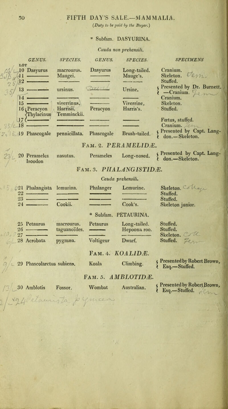 (Duty to be paid by the Buyer.) GENUS. LOT 13 7 fH ' ' 10 Dasyurus 11 12 15 SPECIES. macrourus. Maugei. vivernnus. Harrisii. * Subfam. DASYURINA. Cauda non prehensili. SPECIES. GENUS. Dasyurus -Z7~7 Long-tailed. Mauge’s. Ursine. 16 t Peracyon ^Thylacinus Temminckii. Peracyon 171 18 19 Phascogale pennicillata. Phascogale Fam. 2. PERAMELIDJE. SPECIMENS Cranium. Skeleton. C Cy)t_, Stuffed. ^ Presented by Dr. Burnett. I —Cranium. Cranium. Skeleton. Stuffed. Foetus, stuffed. Cranium. Brush-tailed, j Viverrine, Harris’s. 20 Perameles nasutus. Perameles Long-nosed. \ ^e'sente^, ^ Capt. Lang- Isoodon * don. Skeleton. Fam. 3. PHALANGIST1DJE. Cauda prehensili. r^2l Phalangista <?<> lemurina. Phalanger Lemurine. 23 24 Cookii. Cook’s. * Subfam. PETAUR1NA. 25 26 27 28 Petaurus macrourus. taguanoides. Petaurus Long-tailed. Hepoona roo. Acrobata pygmaea. Voltigeur Dwarf. A / Fam. 4. KOAL1DJE. 29 // Pliascolarctus subiens. Koala Climbing. Skeleton. t Stuffed. Stuffed. Skeleton junior. Stuffed. Stuffed. Skeleton. Stuffed. U'r f Presented by Robert Brown, t Esq.—Stuffed. 30 Amblotis Fossor, yJ%%Lj Fam. 5. AMBLOTIDJE. Wombat Australian. { Presented by Robert Brown, { Esq.—Stuffed.