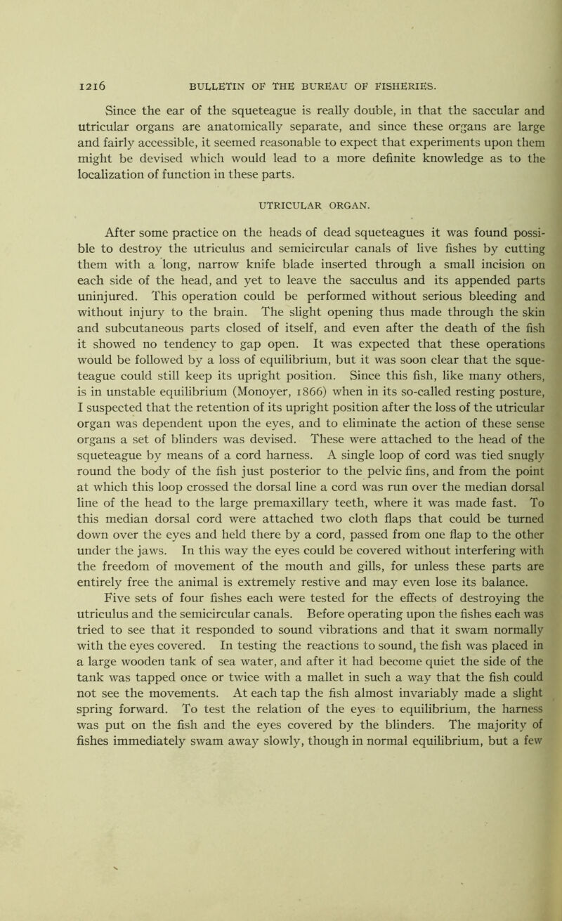 Since the ear of the squeteague is really double, in that the saccular and utricular organs are anatomically separate, and since these organs are large and fairly accessible, it seemed reasonable to expect that experiments upon them might be devised which would lead to a more definite knowledge as to the localization of function in these parts. UTRICULAR ORGAN. After some practice on the heads of dead squeteagues it was found possi- ble to destroy the utriculus and semicircular canals of live fishes by cutting them with a long, narrow knife blade inserted through a small incision on each side of the head, and yet to leave the sacculus and its appended parts uninjured. This operation could be performed without serious bleeding and without injury to the brain. The slight opening thus made through the skin and subcutaneous parts closed of itself, and even after the death of the fish it showed no tendency to gap open. It was expected that these operations would be followed by a loss of equilibrium, but it was soon clear that the sque- teague could still keep its upright position. Since this fish, like many others, is in unstable equilibrium (Monoyer, 1866) when in its so-called resting posture, I suspected that the retention of its upright position after the loss of the utricular organ was dependent upon the eyes, and to eliminate the action of these sense organs a set of blinders was devised. These were attached to the head of the squeteague by means of a cord harness. A single loop of cord was tied snugly round the body of the fish just posterior to the pelvic fins, and from the point at which this loop crossed the dorsal line a cord was run over the median dorsal line of the head to the large premaxillary teeth, where it was made fast. To this median dorsal cord were attached two cloth flaps that could be turned down over the eyes and held there by a cord, passed from one flap to the other under the jaws. In this way the eyes could be covered without interfering with the freedom of movement of the mouth and gills, for unless these parts are entirely free the animal is extremely restive and may even lose its balance. Five sets of four fishes each were tested for the effects of destroying the utriculus and the semicircular canals. Before operating upon the fishes each was tried to see that it responded to sound vibrations and that it swam normally with the eyes covered. In testing the reactions to sound, the fish was placed in a large wooden tank of sea water, and after it had become quiet the side of the tank was tapped once or twice with a mallet in such a way that the fish could not see the movements. At each tap the fish almost invariably made a slight spring forward. To test the relation of the eyes to equilibrium, the harness was put on the fish and the eyes covered by the blinders. The majority of fishes immediately swam away slowly, though in normal equilibrium, but a few