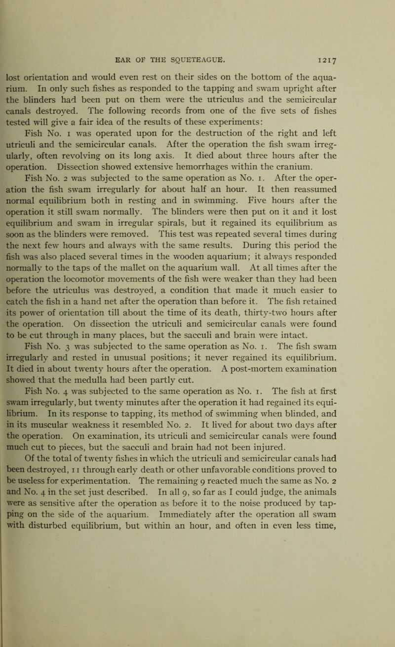 lost orientation and would even rest on their sides on the bottom of the aqua- rium. In only such fishes as responded to the tapping and swam upright after the blinders had been put on them were the utriculus and the semicircular canals destroyed. The following records from one of the five sets of fishes tested will give a fair idea of the results of these experiments: Fish No. 1 was operated upon for the destruction of the right and left utriculi and the semicircular canals. After the operation the fish swam irreg- ularly, often revolving on its long axis. It died about three hours after the operation. Dissection showed extensive hemorrhages within the cranium. Fish No. 2 was subjected to the same operation as No. 1. After the oper- ation the fish swam irregularly for about half an hour. It then reassumed normal equilibrium both in resting and in swimming. Five hours after the operation it still swam normally. The blinders were then put on it and it lost equilibrium and swam in irregular spirals, but it regained its equilibrium as soon as the blinders were removed. This test was repeated several times during the next few hours and always with the same results. During this period the fish was also placed several times in the wooden aquarium; it always responded normally to the taps of the mallet on the aquarium wall. At all times after the operation the locomotor movements of the fish were weaker than they had been before the utriculus was destroyed, a condition that made it much easier to catch the fish in a hand net after the operation than before it. The fish retained its power of orientation till about the time of its death, thirty-two hours after the operation. On dissection the utriculi and semicircular canals were found to be cut through in many places, but the sacculi and brain were intact. Fish No. 3 was subjected to the same operation as No. 1. The fish swam irregularly and rested in unusual positions; it never regained its equilibrium. It died in about twenty hours after the operation. A post-mortem examination showed that the medulla had been partly cut. Fish No. 4 was subjected to the same operation as No. 1. The fish at first swam irregularly, but twenty minutes after the operation it had regained its equi- librium. In its response to tapping, its method of swimming when blinded, and in its muscular weakness it resembled No. 2. It lived for about two days after the operation. On examination, its utriculi and semicircular canals were found much cut to pieces, but the sacculi and brain had not been injured. Of the total of twenty fishes in which the utriculi and semicircular canals had been destroyed, 11 through early death or other unfavorable conditions proved to be useless for experimentation. The remaining 9 reacted much the same as No. 2 and No. 4 in the set just described. In all 9, so far as I could judge, the animals were as sensitive after the operation as before it to the noise produced by tap- ping on the side of the aquarium. Immediately after the operation all swam with disturbed equilibrium, but within an hour, and often in even less time,