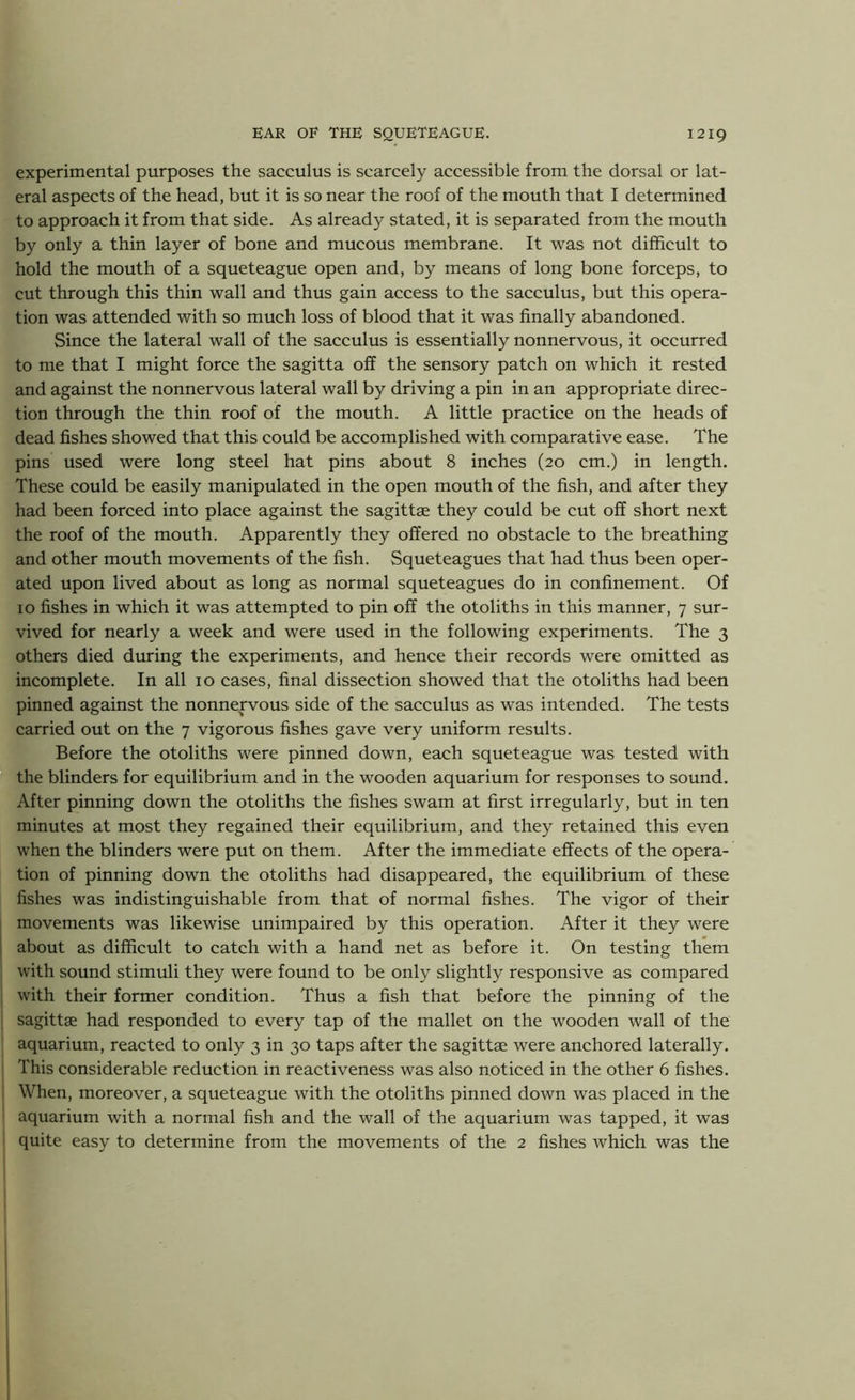 experimental purposes the sacculus is scarcely accessible from the dorsal or lat- eral aspects of the head, but it is so near the roof of the mouth that I determined to approach it from that side. As already stated, it is separated from the mouth by only a thin layer of bone and mucous membrane. It was not difficult to hold the mouth of a squeteague open and, by means of long bone forceps, to cut through this thin wall and thus gain access to the sacculus, but this opera- tion was attended with so much loss of blood that it was finally abandoned. Since the lateral wall of the sacculus is essentially nonnervous, it occurred to me that I might force the sagitta off the sensory patch on which it rested and against the nonnervous lateral wall by driving a pin in an appropriate direc- tion through the thin roof of the mouth. A little practice on the heads of dead fishes showed that this could be accomplished with comparative ease. The pins used were long steel hat pins about 8 inches (20 cm.) in length. These could be easily manipulated in the open mouth of the fish, and after they had been forced into place against the sagittae they could be cut off short next the roof of the mouth. Apparently they offered no obstacle to the breathing and other mouth movements of the fish. Squeteagues that had thus been oper- ated upon lived about as long as normal squeteagues do in confinement. Of 10 fishes in which it was attempted to pin off the otoliths in this manner, 7 sur- vived for nearly a week and were used in the following experiments. The 3 others died during the experiments, and hence their records were omitted as incomplete. In all 10 cases, final dissection showed that the otoliths had been pinned against the nonnervous side of the sacculus as was intended. The tests carried out on the 7 vigorous fishes gave very uniform results. Before the otoliths were pinned down, each squeteague was tested with the blinders for equilibrium and in the wooden aquarium for responses to sound. After pinning down the otoliths the fishes swam at first irregularly, but in ten minutes at most they regained their equilibrium, and they retained this even when the blinders were put on them. After the immediate effects of the opera- tion of pinning down the otoliths had disappeared, the equilibrium of these fishes was indistinguishable from that of normal fishes. The vigor of their movements was likewise unimpaired by this operation. After it they were about as difficult to catch with a hand net as before it. On testing them with sound stimuli they were found to be only slightly responsive as compared with their former condition. Thus a fish that before the pinning of the sagittae had responded to every tap of the mallet on the wooden wall of the aquarium, reacted to only 3 in 30 taps after the sagittae were anchored laterally. This considerable reduction in reactiveness was also noticed in the other 6 fishes. When, moreover, a squeteague with the otoliths pinned down was placed in the aquarium with a normal fish and the wall of the aquarium was tapped, it was quite easy to determine from the movements of the 2 fishes which was the