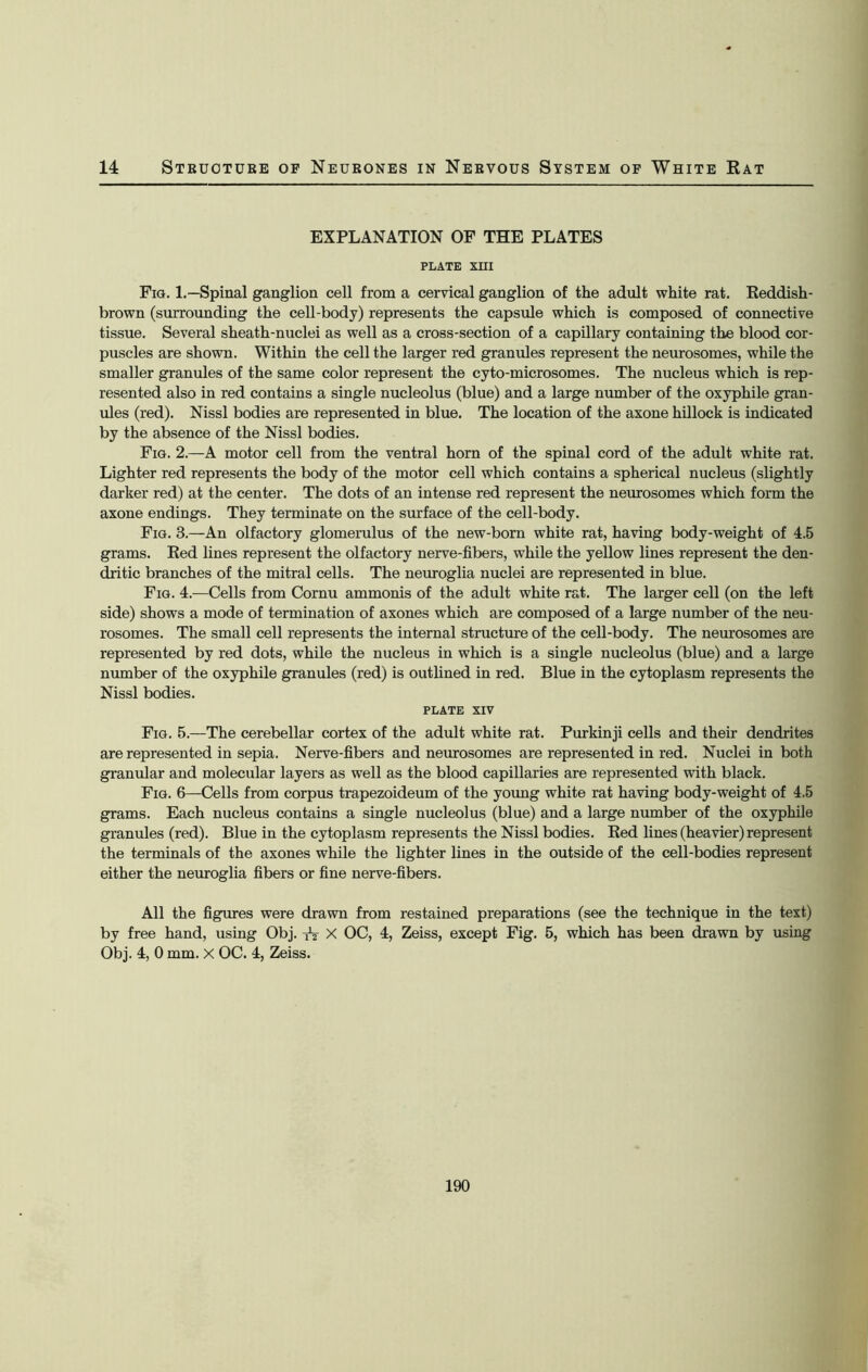 EXPLANATION OF THE PLATES PLATE XIII Fig. 1.—Spinal ganglion cell from a cervical ganglion of the adult white rat. Reddish- brown (surrounding the cell-body) represents the capsule which is composed of connective tissue. Several sheath-nuclei as well as a cross-section of a capillary containing the blood cor- puscles are shown. Within the cell the larger red granules represent the neurosomes, while the smaller granules of the same color represent the cyto-microsomes. The nucleus which is rep- resented also in red contains a single nucleolus (blue) and a large number of the oxyphile gran- ules (red). Nissl bodies are represented in blue. The location of the axone hillock is indicated by the absence of the Nissl bodies. Fig. 2.—A motor cell from the ventral horn of the spinal cord of the adult white rat. Lighter red represents the body of the motor cell which contains a spherical nucleus (slightly darker red) at the center. The dots of an intense red represent the neurosomes which form the axone endings. They terminate on the surface of the cell-body. Fig. 3.—An olfactory glomerulus of the new-born white rat, having body-weight of 4.5 grams. Red lines represent the olfactory nerve-fibers, while the yellow lines represent the den- dritic branches of the mitral cells. The neuroglia nuclei are represented in blue. Fig. 4.—Cells from Cornu ammonis of the adult white rat. The larger cell (on the left side) shows a mode of termination of axones which are composed of a large number of the neu- rosomes. The small cell represents the internal structure of the cell-body. The neurosomes are represented by red dots, while the nucleus in which is a single nucleolus (blue) and a large number of the oxyphile granules (red) is outlined in red. Blue in the cytoplasm represents the Nissl bodies. PLATE XIV Fig. 5.—The cerebellar cortex of the adult white rat. Purkinji cells and their dendrites are represented in sepia. Nerve-fibers and neurosomes are represented in red. Nuclei in both granular and molecular layers as well as the blood capillaries are represented with black. Fig. 6—Cells from corpus trapezoideum of the young white rat having body-weight of 4.5 grams. Each nucleus contains a single nucleolus (blue) and a large number of the oxyphile granules (red). Blue in the cytoplasm represents the Nissl bodies. Red lines (heavier) represent the terminals of the axones while the lighter lines in the outside of the cell-bodies represent either the neuroglia fibers or fine nerve-fibers. All the figures were drawn from restained preparations (see the technique in the text) by free hand, using Obj. A X OC, 4, Zeiss, except Fig. 5, which has been drawn by using Obj. 4, 0 mm. X OC. 4, Zeiss. 190