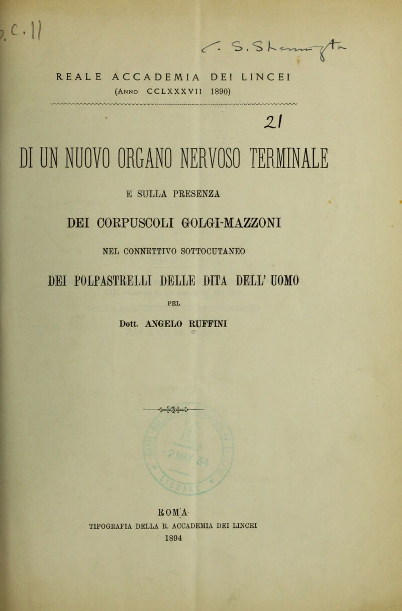 C'II f- REALE ACCADEMIA DEI LINCEI (Anno CCLXXXVII 1890) zi DI 01 NUOVO ORGANO NERVOSO TERMINA i JjJj E SULLA PRESENZA DEI CORPUSCOLI OOLG1-MAZZONI NEL CONNETTIVO SOTTOCUTANEO DEI POLPASTRELLI DELLE DITA DELL UOMO PEL Dott. ANGELO RUFFINI e ROMA TIPOGBAFIA DELLA E. ACCADEMIA DEI LINCEI 1894