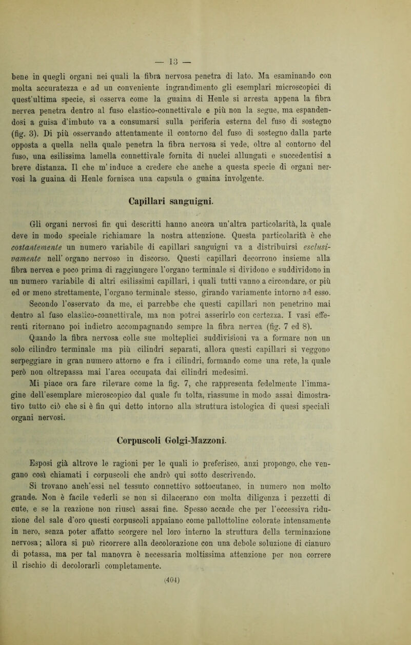 bene in quegli organi nei quali la fibra nervosa penetra di lato. Ma esaminando con molta accuratezza e ad un conveniente ingrandimento gli esemplari microscopici di quest’ultima specie, si osserva come la guaina di Henle si arresta appena la fibra nervea penetra dentro al fuso elastico-connettivale e più non la segue, ma espanden- dosi a guisa d’imbuto va a consumarsi sulla periferia esterna del fuso di sostegno (fig. 3). Di più osservando attentamente il contorno del fuso di sostegno dalla parte opposta a quella nella quale penetra la fibra nervosa si vede, oltre al contorno del fuso, una esilissima lamella connettivale fornita di nuclei allungati e succedentisi a breve distanza. Il che m’induce a credere che anche a questa specie di organi ner- vosi la guaina di Henle fornisca una capsula o guaina involgente. Capillari sanguigni. Gli organi nervosi fin qui descritti hanno ancora un’altra particolarità, la quale deve in modo speciale richiamare la nostra attenzione. Questa particolarità è che costantemente un numero variabile di capillari sanguigni va a distribuirsi esclusi- vamente nell’ organo nervoso in discorso. Questi capillari decorrono insieme alla fibra nervea e poco prima di raggiungere l’organo terminale si dividono e suddividono in un numero variabile di altri esilissimi capillari, i quali tutti vanno a circondare, or più ed or meno strettamente, l’organo terminale stesso, girando variamente intorno ad esso. Secondo l’osservato da me, ei parrebbe che questi capillari non penetrino mai dentro al fuso elastico-connettivale, ma non potrei asserirlo con certezza. I vasi effe- renti ritornano poi indietro accompagnando sempre la fibra nervea (fig. 7 ed 8). Quando la fibra nervosa colle sue molteplici suddivisioni va a formare non un solo cilindro terminale ma più cilindri separati, allora questi capillari si veggono serpeggiare in gran numero attorno e fra i cilindri, formando come una rete, la quale però non oltrepassa mai l’area occupata dai cilindri medesimi. Mi piace ora fare rilevare come la fig. 7, che rappresenta fedelmente l’imma- gine dell’esemplare microscopico dal quale fu tolta, riassume in modo assai dimostra- tivo tutto ciò che si è fin qui detto intorno alla struttura istologica di quesi speciali organi nervosi. Corpuscoli Golgi-Mazzoni. Esposi già altrove le ragioni per le quali io preferisco, anzi propongo, che ven- gano così chiamati i corpuscoli che andrò qui sotto descrivendo. Si trovano anch’essi nel tessuto connettivo sottocutaneo, in numero non molto grande. Non è facile vederli se non si dilacerano con molta diligenza i pezzetti di cute, e se la reazione non riuscì assai fine. Spesso accade che per l’eccessiva ridu- zione del sale d’oro questi corpuscoli appaiano come pallottoline colorate intensamente in nero, senza poter affatto scorgere nel loro interno la struttura della terminazione nervosa ; allora si può ricorrere alla decolorazione con una debole soluzione di cianuro di potassa, ma per tal manovra è necessaria moltissima attenzione per non correre il rischio di decolorarli completamente. (404)