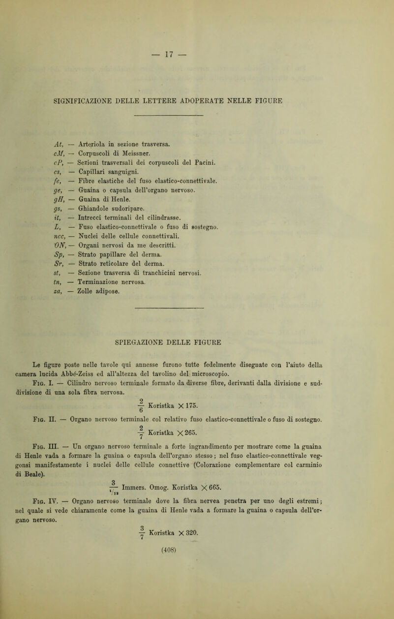 SIGNIFICAZIONE DELLE LETTERE ADOPERATE NELLE FIGURE At, — cM, - cP, - cs, — /». ~ ge, — gH, - gs, — it, — L, - ncc, — ■ON,- Sp, — Sr, - st, — tn, — za, — Arteriola in sezione trasversa. Corpuscoli di Meissner. Sezioni trasversali dei corpuscoli del Pacini. Capillari sanguigni. Fibre elastiche del fuso elastico-connettivale. Guaina o capsula dell’organo nervoso. Guaina di Henle. Ghiandole sudoripare. Intrecci terminali del cilindrasse. Fuso elastico-connettivale o fuso di sostegno. Nuclei delle cellule connettivali. Organi nervosi da me descritti. Strato papillare del derma. Strato reticolare del derma. Sezione trasversa di tranchicini nervosi. Terminazione nervosa. Zolle adipose. SPIEGAZIONE DELLE FIGURE Le figure poste nelle tavole qui annesse furono tutte fedelmente disegnate con l’aiuto della camera lucida Abbé-Zeiss ed all’altezza del tavolino del microscopio. Fig. I. — Cilindro nervoso terminale formato da diverse fibre, derivanti dalla divisione e sud- divisione di una sola fibra nervosa. q — Koristka X 175. 0 Fig. II. — Organo nervoso terminale col relativo fuso elastico-connettivale o fuso di sostegno. 2 — Koristka X265. Fig. III. — Un organo nervoso terminale a forte ingrandimento per mostrare come la guaina di Henle vada a formare la guaina o capsula dell’organo stesso ; nel fuso elastico-connettivale veg- gonsi manifestamente i nuclei delle cellule connettive (Colorazione complementare col carminio di Beale). 3 — Immers. Omog. Koristka X 665. Via Fig. IV. — Organo nervoso terminale dove la fibra nervea penetra per uno degli estremi; nel quale si vede chiaramente come la guaina di Henle vada a formare la guaina o capsula dell’or- gano nervoso. y Koristka X 320. (408)