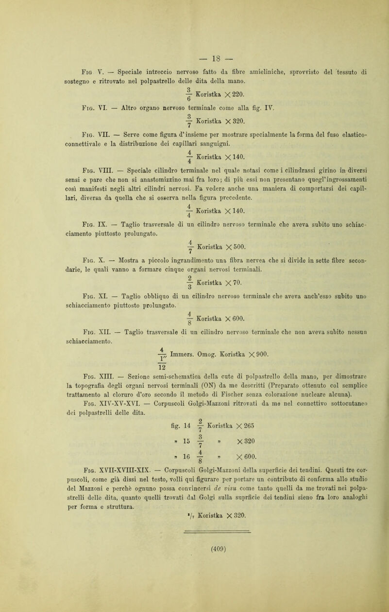 Fig V. — Speciale intreccio nervoso fatto da fibre amieliniche, sprovvisto del tessuto di sostegno e ritrovato nel polpastrello delle dita della mano. 3 — Koristka X 220. D Fig. VI. — Altro organo nervoso terminale come alla fig. IV. 3 — Koristka X 320. Fig. VII. — Serve come figura d’insieme per mostrare specialmente la forma del fuso elastico- connettivale e la distribuzione dei capillari sanguigni. ■— Koristka X 140. Fig. Vili. — Speciale cilindro terminale nel quale notasi come i cilindrassi girino in diversi sensi e pare che non si anastomizzino mai fra loro; di più essi non presentano quegl’ingrossamenti così manifesti negli altri cilindri nervosi. Fa vedere anche una maniera di comportarsi dei capil- lari, diversa da quella che si osserva nella figura precedente. -7- Koristka X 140. 4 Fig. IX. — Taglio trasversale di un cilindro nervoso terminale che aveva subito uno schiac- ciamento piuttosto prolungato. y Koristka X 500. Fig. X. — Mostra a piccolo ingrandimento una fibra nervea che si divide in sette fibre secon- darie, le quali vanno a formare cinque organi nervosi terminali. o — Koristka X 70. o Fig. XI. — Taglio obbliquo di un cilindro nervoso terminale che aveva anch’esso subito uno schiacciamento piuttosto prolungato. 4 — Koristka X 600. O Fig. XII. — Taglio trasversale di un cilindro nervoso terminale che non aveva subito nessun schiacciamento. 4 — Immers. Omog. Koristka X 900. 12 Fig. XIII. — Sezione semi-schematica della cute di polpastrello della mano, per dimostrare la topografia degli organi nervosi terminali (ON) da me descritti (Preparato ottenuto col semplice trattamento al cloruro d’oro secondo il metodo di Fischer senza colorazione nucleare alcuna). Fig. XIV-XV-XVI. — Corpuscoli Golgi-Mazzoni ritrovati da me nel connettivo sottocutaneo dei polpastrelli delle dita. fig. 14 y' Koristka X 265 » 15 — » X 320 » 16 ~ » X 600. O Fig. XVII-XVIII-XIX. — Corpuscoli Golgi-Mazzoni della superficie dei tendini. Questi tre cor- puscoli, come già dissi nel testo, volli qui figurare per portare un contributo di conferma allo studio del Mazzoni e perchè ognuno possa convincersi de visu come tanto quelli da me trovati nei polpa- strelli delle dita, quanto quelli trovati dal Golgi sulla suprficie dei tendini sieno fra loro analoghi per forma e struttura. */t Koristka X 320. (409)