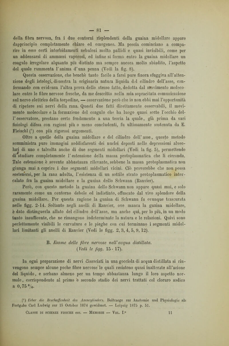 della fibra nervosa, fra i due contorni risplendenti della guaina midollare appare dapprincipio completamente chiaro ed omogeneo. Ma poscia cominciano a compa- rire in esso certi intorbidamenti nebulosi molto pallidi e quasi invisibili, come per un addensarsi di ammassi vaporosi, ed infine si forma entro la guaina midollare uu coagulo irregolare alquanto più distinto ma sempre ancora molto sbiadito, l’aspetto del quale rammenta l’anima d’una penna (Vedi la fig. 8). Questa osservazione, che benché tanto facile a farsi pure finora sfuggiva all’alten- zioue degli istologi, dimostra la originaria natura liquida del cilindro dell’asse, con- fermando con evidenza l’altra prova dello stesso fatto, dedotta dal mrovimento moleco- lare entro le fibre nervose fresche, da me descritto nella mia sopracitata comunicazione sul nervo elettrico della torpedine, — osservazione però che io non ebbi mai l’opportunità di ripetere sui nervi della rana. Questi due fatti direttamente osservabili, il movi- mento molecolare e la formazione del coagulo che ha luogo quasi sotto l’occhio del- r osservatore, prestano certo fondamento a una teoria la quale, già prima da vari fisiologi difesa con ragioni più o meno concludenti, fu ultimamente sostenuta da B. Fleischl (‘) con più rigorosi argomenti. Oltre a quelle della guaina midollare e del cilindro dell’ asse, questo metodo somministra pure immagini soddisfacenti dei nuclei deposti nelle depressioni alveo- lari di uno e talvolta anche di due segmenti midollari (Vedi la fig. 5), permettendo di studiare completamente 1’ estensione della massa protoplasmatica che li circonda. Tale estensione è sovente abbastanza rilevante, sebbene la massa protoplasmatica non giunga mai a coprire i due segmenti midollari vicini. Ciò proverebbe che non possa sostenersi, per la rana adulta, resistenza di un sottile strato protoplasmatico inter- calato fra la guaina midollare e la guaina dello Schwann (Ranvier). Però, con questo metodo la guaina dello Schwann non appare quasi mai, e solo raramente come uu contorno debole ed indistinto, offuscato dal vivo splendore della guaina midollare. Per questa ragione la guaina di Schwann fu ovunque trascurata nelle figg. 2-14. Soltanto negli anelli di Ranvier, ove manca la guaina midollare, è dato distinguerla allato del cilindro dell’asse, ma anche qui, per lo più, in un modo tanto insufficeute, che ne rimangono indeterminate la natura e le relazioni. Quivi sono perfettamente visibili le curvature e le pieghe con cui terminano i segmenti midol- lari limitanti gli anelli di Ranvier (Vedi le figg. 2, 3, 4, 5, 9,12). B. Esame delle fibre nervose nell'acqua distillata. {Vedi le figg. 15- 17). In ogni preparazione di nervi dissociati in una gocciola di acqua distillata si rin- vengono sempre alcune poche fibre nervose'le quali resistono quasi inalterate all’azione del liquido, e serbano almeno per un tempo abbastanza lungo il loro aspetto nor- male , corrispondente al primo e secondo stadio dei nervi trattati col cloruro sodico a0,75«/o. (') Ueher die Bcscliafl'eiiheit de-i Axenvylinders. Beitraege zur Anatomie und Pliysiologie als Festgabe Cavi Ludwig zur 15 October 1874 gewidmet. — Leipzig 1875 p. 51. Classe di scienze fisiche ecc. — Memorie — Vol. L' 11