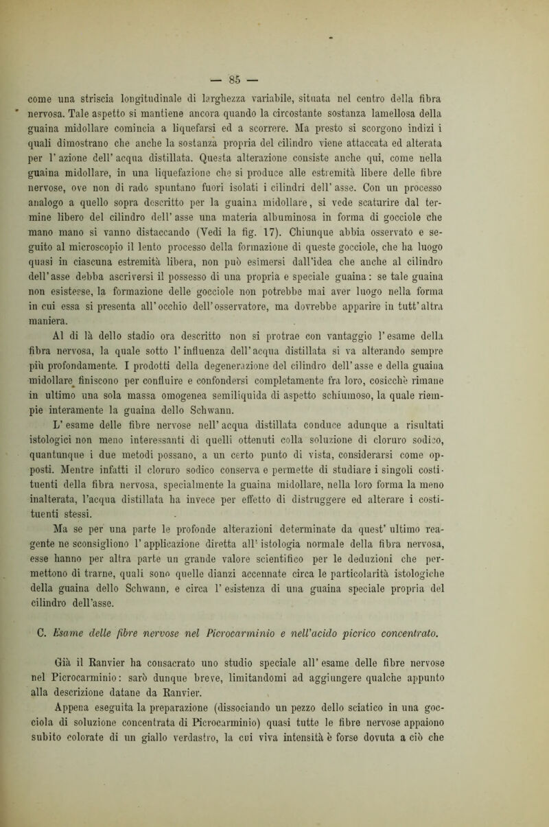 come una striscia longitudinale di larghezza variabile, situata nel centro della fibra nervosa. Tale aspetto si mantiene ancora quando la circostante sostanza lamellosa della guaina midollare comincia a liquefarsi ed a scorrere. Ma presto si scorgono indizi i quali dimostrano che anche la sostanza propria del cilindro viene attaccata ed alterata per r azione dell’ acqua distillata. Questa alterazione consiste anche qui, come nella guaina midollare, in una liquefazione che si produce alle estremità libere delle fibre nervose, ove non di rado spuntano fuori isolati i cilindri dell’ asse. Con un processo analogo a quello sopra descritto per la guaina midollare, si vede scaturire dal ter- mine libero del cilindro dell’ asse una materia albuminosa in forma di gocciole che mano mano si vanno distaccando (Vedi la fig. 17). Chiunque abbia osservato e se- guito al microscopio il lento processo della formazione di creste gocciole, che ha luogo quasi in ciascuna estremità libera, non può esimersi dall’idea che anche al cilindro dell’asse debba ascriversi il possesso di una propria e speciale guaina: se tale guaina non esistesse, la formazione delle gocciole non potrebbe mai aver luogo nella forma in cui essa si presenta all’occhio dell’osservatore, ma dovrebbe apparire in tutt’altra maniera. Al di là dello stadio ora descritto non si protrae con vantaggio l’esame della fibra nervosa, la quale sotto l’influenza dell’acqua distillata si va alterando sempre piu profondamente. I prodotti della degenerazione del cilindro dell’asse e della guaina midollare^ finiscono per confluire e confondersi completamente fra loro, cosicché rimane in ultimo una sola massa omogenea semiliquida di aspetto schiumoso, la quale riem- pie interamente la guaina dello Schwanu. L’ esame delle fibre nervose nell’ acqua distillata conduce adunque a risultati istologici non meno interessanti di quelli ottenuti colla soluzione di cloruro sodico, quantunque i due metodi possano, a un certo punto di vista, considerarsi come op- posti. Mentre infatti il cloruro sodico conserva e permette di studiare i singoli costi- tuenti della fibra nervosa, specialmente la guaina midollare, nella loro forma la meno inalterata, l’acqua distillata ha invece per effetto di distruggere ed alterare i costi- tuenti stessi. Ma se per una parte le profonde alterazioni determinate da quest’ ultimo rea- gente ne sconsigliono T applicazione diretta all’- istologia normale della fibra nervosa, esse hanno per altra parte un grande valore scientifico per le deduzioni che per- mettono di trarne, quali sono quello dianzi accennate circa le particolarità istologiche della guaina dello Schwann, e circa 1’ esistenza di una guaina speciale propria del cilindro dell’asse. C. Esame delle fibre nervose nel Picrocarminio e nell'acido picrico concentrato. Già il Ranvier ha consacrato uno studio speciale all’esame delle fibre nervose nel Picrocarminio: sarò dunque breve, limitandomi ad aggiungere qualche appunto alla descrizione datane da Ranvier. Appena eseguita la preparazione (dissociando un pezzo dello sciatico in una goc- ciola di soluzione concentrata di Picrocarminio) quasi tutte le fibre nervose appaiono subito colorate di un giallo verdastro, la cui viva intensità è forse dovuta a ciò che