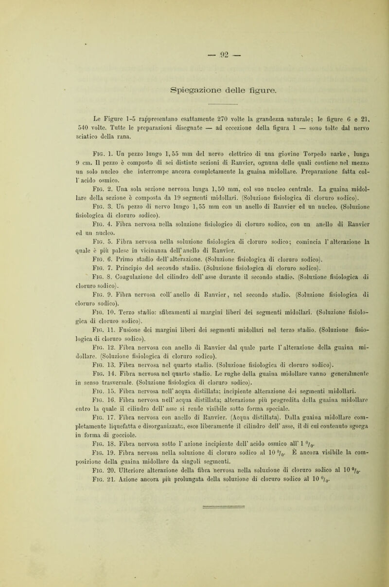 spiegazione delle ligure. Le Figure 1-5 rappresentano esattamente 270 volte la grandezza naturale; le figure G e 21, 510 volte. Tutte le preparazioni disegnate — ad eccezione della figura 1 — sono tolte dal nervo sciatico della rana. Fig. 1. Un pezzo lungo 1, 55 mm del nervo elettrico di una giovine Torpedo narke, lunga 9 cm. Il pezzo è composto di sei distinte sezioni di Ranvier, ognuna delle quali contiene nel mezzo un solo nucleo che interrompe ancora completamente la guaina midollare. Preparazione fatta col- 1' acido osmico. Fig. 2. Una sola sezione nervosa lunga 1,50 mm, col suo nucleo centrale. La guaina midol- lare della sezione è composta da 19 segmenti midollari. (Soluzione fisiologica di cloruro sodico). Fig. 3. Un pezzo di nervo lungo 1,55 mm con un anello di Ranvier ed un nucleo. (Soluzione fisiologica di cloruro sodico). Fig. 4. Fibra nervosa nella soluzione fisiologico di cloruro sodico, con un ancdlo di Ranvier ed un nucleo. Fig. 5. Fibra nervosa nella soluzione fisiologica di cloruro sodico; comincia T alterazione la quale è più palese in vicinanza dell’anello di Ranvier. Fig. 6. Primo stadio dell’alterazione. (Soluzione fisiologica di cloruro sodico). Fig. 7. Principio del secondo stadio. (Soluzione fisiologica di cloruro sodico). Fig. 8. Coagulazione del cilindro dell’ asse durante il secondo stadio. (Soluzione fisiologica di cloruro sodico). Fig. 9. Fibra nervosa coll'anello di Ranvier, nel secondo stadio. (Soluzione fisiologica di cloruro sodico). Fig. io. Terzo stadio: sfibramenti ai margini liberi dei segmenti midollari. (Soluzione fisiolo- gica di cloruro sodico). Fig. 11. Fusione dei margini liberi dei segmenti midollari nel terzo stadio. (Soluzione fisio- logica di cloruro sodico). Fig. 12. Fibra nervosa con anello di Ranvier dal quale parte 1’ alterazione della guaina mi- dollare. (Soluzione fisiologica di cloruro sodico). Fig. 13. Fibra nervosa nel quarto stadio. (Soluzione fisiologica di cloruro sodico). Fig. 14. Fibra nervosa nel quarto stadio. Le rughe della guaina midollare vanno generalmente in senso trasversale. (Soluzione fisiologica di cloruro sodico). Fig. 15. Fibra nervosa nell’acqua distillata; incipiente alterazione dei segmenti midollari. Fig. 16. Fibra nervosa nell’ acqua distillata; alterazione più progredita della guaina midollare entro la quale il cilindro dell’ asse si rende visibile sotto forma speciale. Fig. 17. Fibra nervosa con anello di Ranvier. (Acqua distillata). Dalla guaina midollare com- pletamente liquefatta e disorganizzata, esce liberamente il cilindro dell’ asse, il di cui contenuto sgorga in forma di gocciole. Fig. 18. Fibra nervosa sotto 1’ azione incipiente dell’ acido osmico all’ 1 Fig. 19. Fibra nervosa nella soluzione di cloruro sodico al 10 %. È ancora visibile la com- posizione della guaina midollare da singoli segmenti. Fig. 20. Ulteriore alterazione della fibra nervosa nella soluzione di cloruro sodico al 10 ®/(,. Fig. 21. Azione ancora più prolungata della soluzione di cloruro sodico al 10 ®/(,.