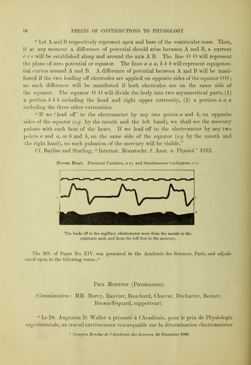 “ Let A and B respectively represent apex and base of the ventricular mass. Then, if at any moment a difference of potential should arise between A and B, a current c c c will be established along and around the axis A B. The line 0 0 will represent the plane of zero potential or equator. The lines a a a, b b b will represent equipoten- tial curves around A and B. A difference of potential between A and B will be mani- fested if the two leading off electrodes are applied on opposite sides of the equator 0 0 ; no such difference will be manifested if both electrodes are on the same side of the equator. The equator 0 0 will divide the body into two asymmetrical parts, (1) a portion b b b including the head and right upper extremity, (2) a portion a a a including the three other extremities. “If we ‘lead off’ to the electrometer by any two points a and b, on opposite sides of the equator (e.g. by the mouth and the left hand), we shall see the mercury pulsate with each beat of the heart. If we lead off to the electrometer by any two points a and a, or b and b, on the same side of the equator (e.g. by the mouth and the right hand), no such pulsation of the mercury will be visible.” Cf. Bayliss and Starling, “Internat. Monatschr. f. Anat. u. Physiol.” 1892. Human Heart. Electrical Variation, e e ; and Simultaneous Cardiogram, c c. ,J\ The leads off to the capillary electrometer were from the mouth to the sulphuric acid, and from the left foot to the mercury. The MS. of Paper No. XIV. was presented to the Academie des Sciences, Paris, and adjudi- cated upon in the following terms:1 Prix Montyon (Physiologie) (Commissaires : MM. Marey, Ranvier, Bouchard, Charcot, Duchartre, Bornet; Brown-Sequard, rapporteur). “ Le Dr. Augustus D. Waller a presente a l'Academie, pour le prix de Physiologie experimentale, un travail extremement remarquable sur la determination electromotrice 1 Comptcs Bcndus de l'Academie des iscietices, 24 Decembre 1888.