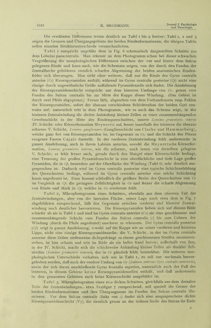 und Neurologie. Die erwähnten Differenzen treten deutlich an Tafel i bis 9 hervor; Tafel 1, 2 und 3 zeigen die Grenzen und Übergangsgebiete der beiden Rindenformationen, die übrigen Tafeln sollen einzelne Strukturunterschiede veranschaulichen. Tafel 1 entspricht ungefähr dem in Fig. 6 schematisch dargestellten Schnitte aus dem Lobulus paracentralis. Man erkennt an dem Photogramm schon bei dieser schwachen Vergrößerung die morphologischen Differenzen zwischen der vor und hinter dem Sulcus gelegenen Rinde und kann auch, wie die Schemata zeigen, von der durch den Fundus der Zentralfurche gebildeten ziemlich scharfen Abgrenzung der beiden anatomischen Rinden- felder sich überzeugen. Man sieht ohne weiteres, daß nur die Rinde des Gyrus centralis anterior (Ca) Riesenpyramiden enthält, während im Gyrus centralis posterior (Cp) nicht eine einzige durch ungewöhnliche Größe auffallende Pyramidenzelle sich findet. Die Ausdehnung der Riesenpyramidenschicht entspricht nur dem hinteren Umfange von Ca, genau vom Fundus des Sulcus centralis bis zur Mitte der Kuppe dieser Windung. (Das Gebiet ist durch zwei Pfeile abgegrenzt.) Ferner fällt, abgesehen von dem Vorhandensein resp. Fehlen der Riesenpyramiden, sofort der überaus verschiedene Schichtenbau der beiden Gyri cen- trales auf; namentlich tritt in dem Photogramm, wie es auch das Schema zeigt, in der hinteren Zentralwindung die dichte Anhäufung kleiner Zellen zu einer zusammenhängenden Gewebsschicht in der Mitte des Rindenquerschnittes, unsere Lamina granularis interna (IV.Schicht- oder Körnerformation Meynerts) auf, ferner innerhalb der letzteren die überaus zellarme V. Schicht, Lamina ganglionaris (Ganglienschicht von Clarke und Hammarberg), welche ganz frei von Riesenpyramiden ist, im Gegensatz zu Ca, und die Schicht des Plexus exogener Fasern Cajals darstellt. In der vorderen Zentralwindung fehlt andererseits in ganzer Ausdehnung', auch in ihrem Labium anterius, sowohl die Meynertsche Körnerfor- mation, Lamina grannlaris interna, wie die zellarme, nach innen von derselben gelegene V. Schicht; es fehlt ferner auch, gerade durch den Mangel einer Körnerschicht bedingt, eine Trennung der großen Pyramidenschicht in eine oberflächliche und tiefe Lage großer Pyramiden, die in Cp, besonders auf der Oberfläche der Windung (Tafel 6) sehr deutlich aus- gesprochen ist. Dadurch wird im Gyrus centralis posterior eine typische Schichtenbildung des Querschnittes bedingt, während im Gyrus centralis anterior eine solche Schichtung kaum angedeutet ist. Dazu kommt schließlich die größere Breite des Querschnittes von Ca im Vergleich zu Cp, die geringere Zelldichtigkeit in Ca und ferner die scharfe Abgrenzung von Rinde und Mark in Cp, welche in Ca wiederum fehlt. Tafel 2, Mikrophotogramm eines Schnittes, ebenfalls aus dem obersten Teil der Zentralwindungen, aber von der lateralen Fläche, seiner Lage nach etwa dem in Fig. 7 abgebildeten entsprechend, läßt den Gegensatz zwischen vorderer und hinterer Zentral- windung noch deutlicher hervortreten. Die Riesenpyramiden heben sich auf diesem Bilde schärfer ab als in Tafel 1 und sind im Gyrus centralis anterior (Ca) als eine geschlossene und zusammenhängende Schicht vom Fundus des Sulcus centralis (e) bis zum Culmen der Windung (durch die Pfeile angedeutet) unschwer zu erkennen. Der Gyrus centralis posterior (Cp) zeigt in ganzer Ausdehnung, sowohl auf der Kuppe wie an seiner vorderen und hinteren Lippe, nicht eine einzige Riesenpyramidenzelle; die V. Schicht, in der im Gyrus centralis anterior diese Zellen stellenweise dichtgedrängt zu einem geschlossenen Streifen zusammen- stehen, ist hier zellarm und tritt im Bilde als ein helles Band hervor; außerhalb von ihm, in der IV. Schicht, macht sich die schichtweise Anhäufung kleiner Zellen als dunkler Zell- streifen (Lamina grannlaris interna), der in Ca gänzlich fehlt, bemerkbar. Die weiteren mor- phologischen Unterschiede verhalten sich wie in Tafel 1, es soll nur nochmals hervor- gehoben werden, daß auch der vordere Umfang von Ca (Labium anterius Gyri centralis anterioris), sowie der sich daran anschließende Gyrus frontalis superior, namentlich auch der Fuß des letzteren, in diesem Gehirne keine Riesenpyramidenzellen enthält, und daß andererseits in den genannten Gebieten auch keine Körnerschicht ausgebildet ist. Tafel 3. Mikrophotogramm eines 10 fi dicken Schnittes, gleichfalls aus dem dorsalen Teile der Zentral Windungen, etwa Textfigur 7 entsprechend, soll speziell die Grenze der beiden Rindenformationen und ihre Übergangszone im Fundus des Sulcus centralis illu- strieren. Vor dem Sulcus centralis (links von c) findet sich eine ausgesprochene dichte Riesenpyramidenschicht (Vy), die ziemlich genau an der tiefsten Stelle des Sulcus ihr Ende