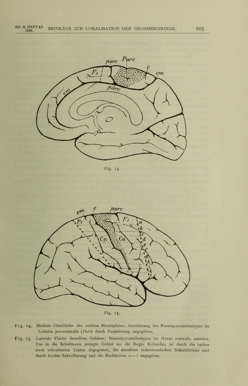 Fig. 14. Mediale Oberfläche der rechten Hemisphäre; Ausdehnung des Riesenpyramidentypus im Lobulus paracentralis (Parc) durch Punktierung angegeben. Fig. 15. Laterale Fläche desselben Gehirns; Riesenpyramidentypus im Gvrus centralis anterior. Das in die Schnittserie zerlegte Gebiet um die Regio Rolandica ist durch die beiden stark schraffierten Linien abgegrenzt, die einzelnen makrotomischen Schnittblöcke sind durch leichte Schraffierung und die Buchstaben a — / angegeben.