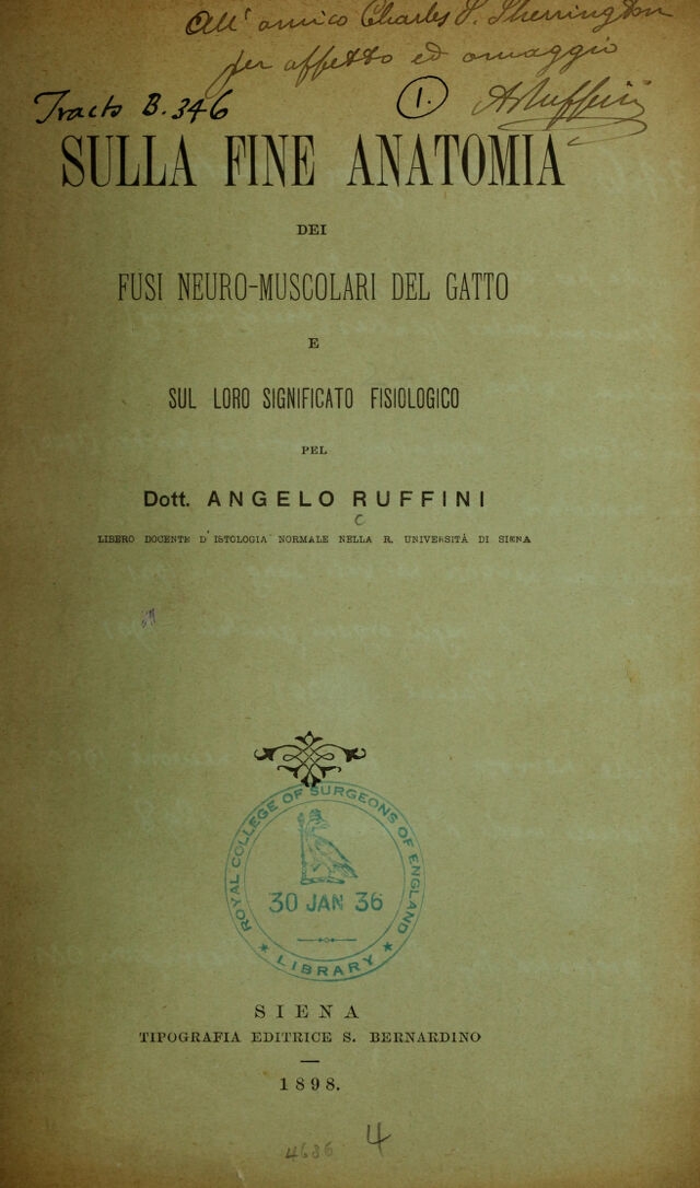 digitised image 1