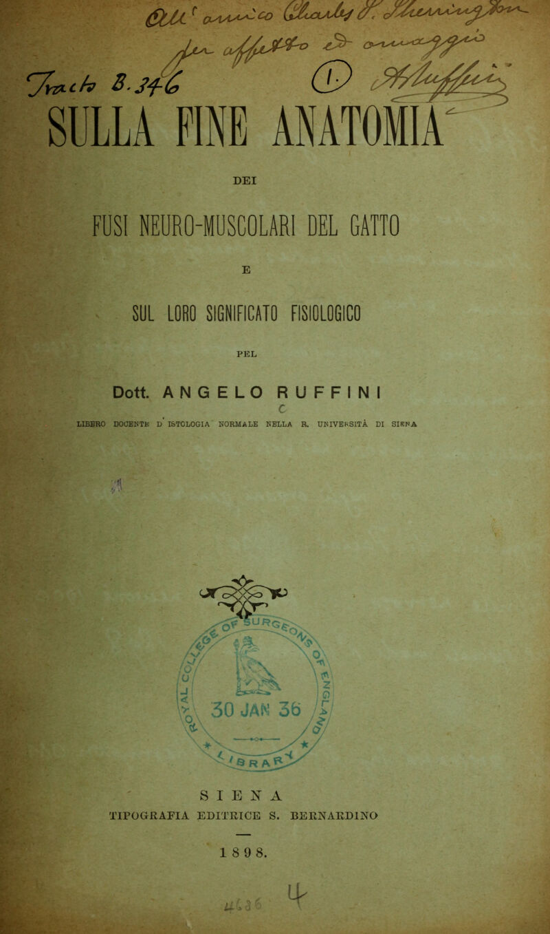 Q&oaA/ cr. ‘yy&.th S-Sj-te SULLA PINE ANATOMIA DEI FUSI NEURO-MUSCOLARI DEL GATTO SUL LORO SIGNIFICATO FISIOLOGICO PEL Doti ANGELO RUFFINI c LIBERO DOCENTE D* ISTOLOGIA NORMALE NELLA R. UNIVERSITÀ DI SIENA 1 8 9 8.