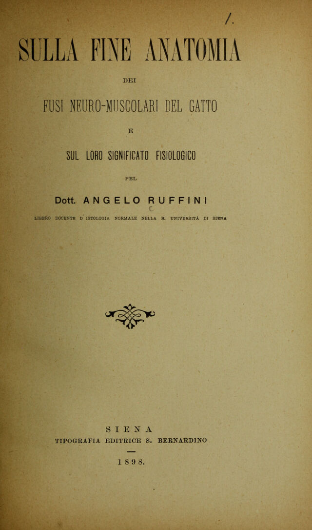 digitised image 3