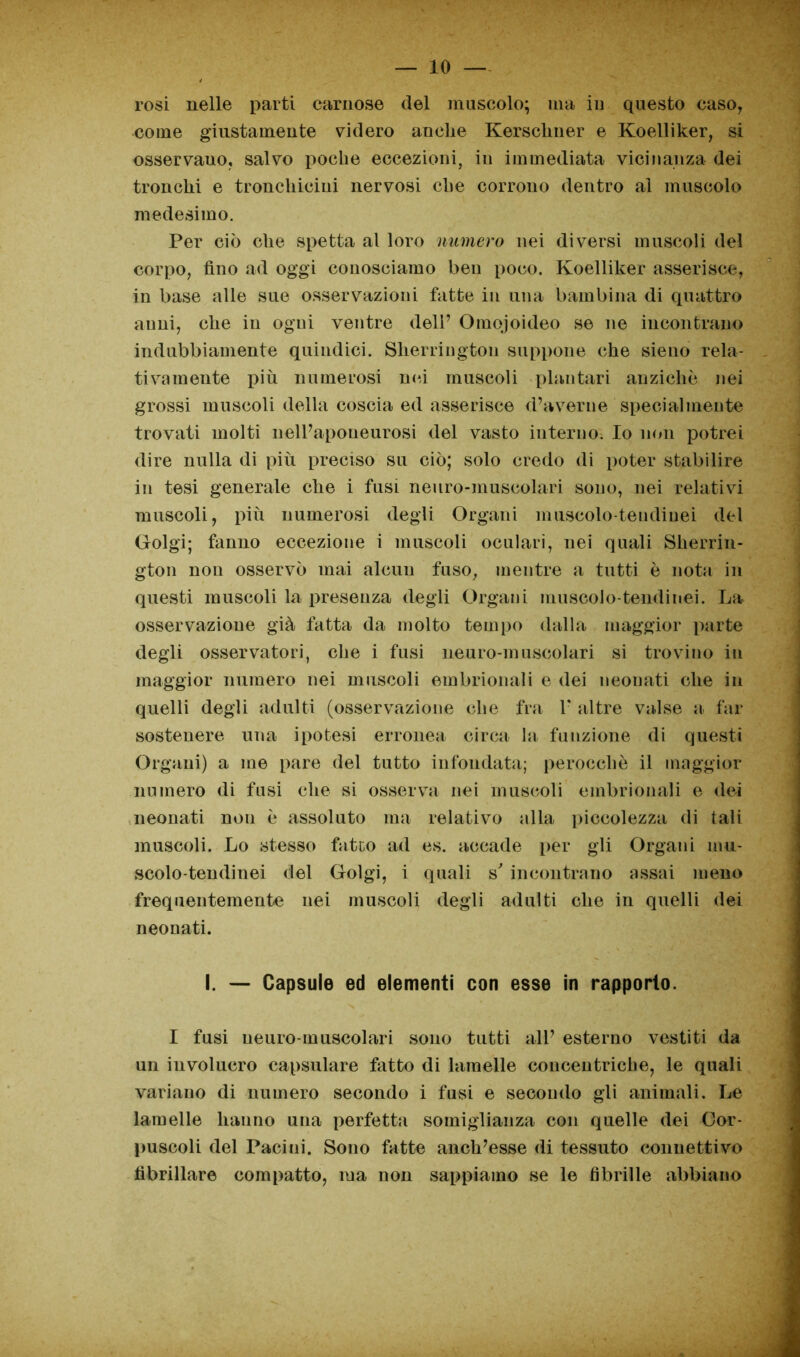 rosi nelle parti carnose del muscolo; ma in questo caso, come giustamente videro anche Kerschner e Koelliker, si osservano, salvo poche eccezioni, in immediata vicinanza dei tronchi e troncliiciui nervosi che corrono dentro al muscolo medesimo. Per ciò che spetta al loro numero nei diversi muscoli del corpo, fino ad oggi conosciamo ben poco. Koelliker asserisce, in base alle sue osservazioni fatte in una bambina di quattro anni, che in ogni ventre dell’ Omojoideo se ne incontrano indubbiamente quindici. Slierriugton suppone che sieno rela- tivamente più numerosi nei muscoli plantari anziché nei grossi muscoli della coscia ed asserisce d’averne specialmente trovati molti nell’aponeurosi del vasto interno. Io non potrei dire nulla di più preciso su ciò; solo credo di poter stabilire in tesi generale che i fusL neuro-muscolari sono, nei relativi muscoli, più numerosi degli Organi muscolo-tendinei del Golgi; fanno eccezione i muscoli oculari, nei quali Sherrin- gton non osservò mai alcun fuso, mentre a tutti è nota in questi muscoli la presenza degli Organi muscolo-tendinei. La osservazione già fatta da molto tempo dalla maggior parte degli osservatori, che i fusi neuro-muscolari si trovino in maggior numero nei muscoli embrionali e dei neonati che in quelli degli adulti (osservazione che fra 1' altre valse a far sostenere una ipotesi erronea circa la funzione di questi Organi) a me pare del tutto infondata; perocché il maggior numero di fusi che si osserva nei muscoli embrionali e dei neonati non é assoluto ma relativo alla piccolezza di tali muscoli. Lo stesso fatto ad es. accade per gli Organi mu- scolo-tendinei del Golgi, i quali s' incontrano assai meno frequentemente nei muscoli degli adulti che in quelli dei neonati. I. — Capsule ed elementi con esse in rapporto. I fusi neuro-muscolari sono tutti all’ esterno vestiti da un involucro capsulare fatto di lamelle concentriche, le quali variano di numero secondo i fusi e secondo gli animali. Le lamelle hanno una perfetta somiglianza con quelle dei Cor- puscoli del Paci ni. Sono fatte anch’esse di tessuto connettivo fibrillare compatto, ma non sappiamo se le fibrille abbiano