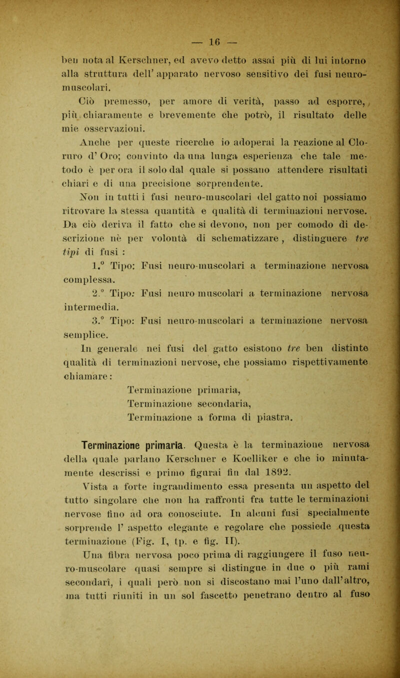 bei] nota al Kerseliner, ed avevo detto assai più di lui intorno alla struttura dell* apparato nervoso sensitivo dei fusi neuro- muscolari. Ciò premesso, per amore di verità, passo ad esporre, più chiaramente e brevemente che potrò, il risultato delle mie osservazioni. Anche per queste ricerche io adoperai la reazione al Clo- ruro d’Oro; convinto da una lunga esperienza che tale me- todo è perora il solo dal quale si possano attendere risultati chiari e di una precisione sorprendente. Non in tutti i fusi neuro-muscolari del gatto noi possiamo ritrovare la stessa quantità e qualità di terminazioni nervose. 1 Da ciò deriva il fatto che si devono, non per comodo di de- scrizione nè per voloutà di schematizzare, distinguere tre tipi di fasi : 1. ° Tipo: Fusi neuro-muscolari a terminazione nervosa complessa. 2. ° Tipo: Fusi neuro muscolari a termiuazione nervosa intermedia. 3. ° Tipo: Fusi neuro-muscolari a terminazione nervosa semplice. In generale nei fusi del gatto esistono tre ben distinte qualità di terminazioni nervose, che possiamo rispettivamente chiamare : Ter m i n azione p ri maria, Terminazione secondaria, Terminazione a forma di piastra. Terminazione primaria. Questa è la terminazione nervosa della quale parlano Kerschuer e Koelliker e che io minuta- mente descrissi e primo figurai fin dal 1892. Vista a forte ingrandimento essa presenta un aspetto del tutto singolare che non ha raffronti fra tutte le terminazioni nervose fino ad ora conosciute. In alcuni fusi specialmente sorprende 1’ aspetto elegante e regolare che possiede questa terminazione (Fig. I, tp. e fìg. II). Una fibra nervosa poco prima di raggiungere il fuso neu- ro-muscolare quasi sempre si distingue in due o più rami secondari, i quali però non si discostano mai l’uno dall’altro, ma tutti riuniti in un sol fascette penetrano dentro al fuso