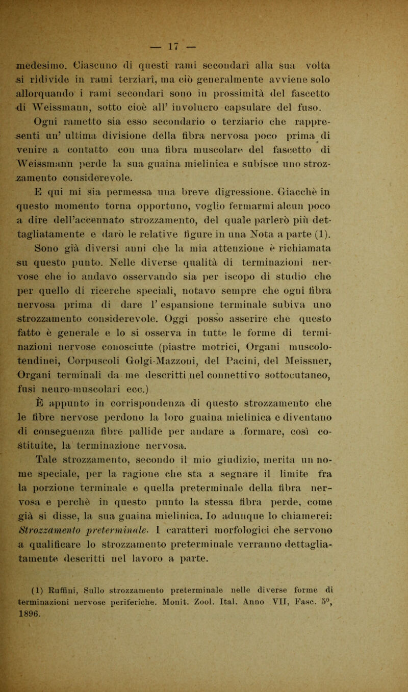 medesimo. Ciascuno di questi rami secondari alla sua volta si ridivide in rami terziari, ma ciò generalmente avviene solo allorquando i rami secondari sono in prossimità del discetto di Weissmann, sotto cioè all’ involucro capsulare del fuso. Ogni rametto sia esso secondario o terziario che rappre- senti un’ ultima divisione della fibra nervosa poco prima di venire a contatto con una fibra muscolare del fascetto di Weissmann perde la sua guaina mielinica e subisce uno stroz- zamento considerevole. E qui mi sia permessa una breve digressione. Giacché in questo momento torna opportuno, voglio fermarmi alcun poco a dire del l’accennato strozzamento, del quale parlerò più det- tagliatamente e darò le relative figure in una Nota a parte (1). Sono già diversi anni che la mia attenzione è richiamata su questo puuto. Nelle diverse qualità di terminazioni ner- vose che io andavo osservando sia per iscopo di studio che per quello di ricerche speciali, notavo sempre che ogui fibra nervosa prima di dare V espansione terminale subiva uno strozzamento considerevole. Oggi posso asserire che questo fatto è generale e lo si osserva in tutte le forme di termi- nazioni nervose conosciute (piastre motrici, Organi muscolo- tendinei, Corpuscoli Golgi-Mazzoni, del Pacini, del Meissner, Organi terminali da me descritti nel connetti vo sottocutaneo, fusi neuro-muscolari ecc.) È appunto in corrispondenza di questo strozzamento che le fibre nervose perdono la loro guaina mielinica e diventano di conseguenza fibre pallide per andare a formare, così co- stituite, la terminazione nervosa. Tale strozzamento, secondo il mio giudizio, merita un no- me speciale, per la ragione che sta a segnare il limite fra la porzione terminale e quella pretermiuale della fibra ner- vosa e perchè in questo puuto la stessa fibra perde, come già si disse, la sua guaina mielinica. Io adunque lo chiamerei: Strozzamento preterminale. 1 caratteri morfologici che servono a qualificare lo strozzamento preterminale verranno dettaglia- tamente descritti nel lavoro a parte. (1) Ruffiui, Sullo strozzamento preterminale nelle diverse forme di terminazioni nervose periferiche. Monit. Zool. Ital. Anno VII, Fase. 5°, 1896.