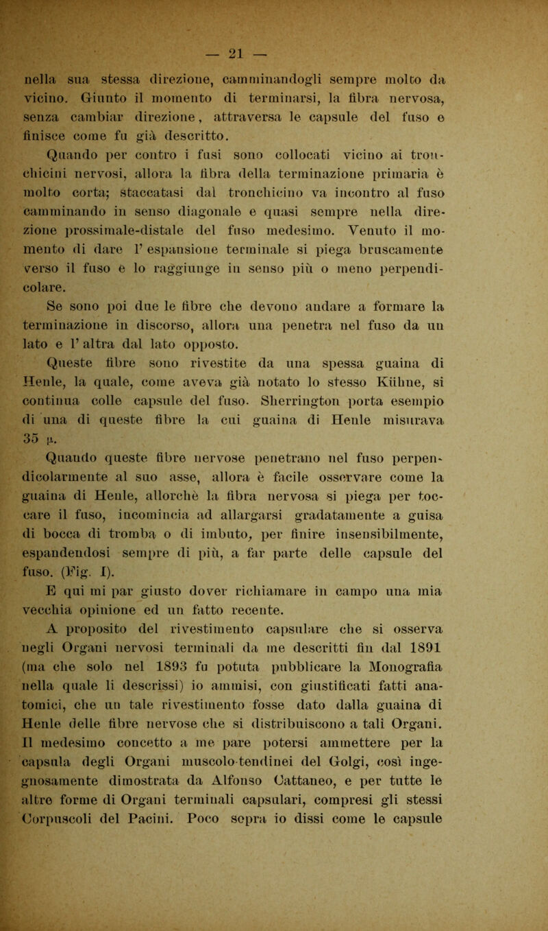 nella sua stessa direzione, camminandogli sempre molto da vicino. Giunto il momento di terminarsi, la libra nervosa, senza cambiar direzione, attraversa le capsule del fuso e finisce come fu già descritto. Quando per contro i fusi sono collocati vicino ai tron- chicini nervosi, allora la fibra della terminazione primaria è molto corta; staccatasi dal troncliicino va incontro al fuso camminando in senso diagonale e quasi sempre nella dire- zione prossimale-distale del fuso medesimo. Venuto il mo- mento di dare V espansione terminale si piega bruscamente verso il fuso e lo raggiunge in senso più o meno perpendi- colare. Se sono poi due le fibre che devono andare a formare la terminazione in discorso, allora una penetra nel fuso da un lato e V altra dal lato opposto. Queste fibre sono rivestite da una spessa guaina di Henle, la quale, come aveva già notato lo stesso Kiihne, si continua colle capsule del fuso. Sherrington porta esempio di una di queste fibre la cui guaina di Henle misurava 35 |i. Quando queste fibre nervose penetrano nel fuso perpen- dicolarmente al suo asse, allora è facile osservare come la guaina di Henle, allorché la fibra nervosa si piega per toc- care il fuso, incomincia ad allargarsi gradatamente a guisa di bocca di tromba o di imbuto, per finire insensibilmente, espandendosi sempre di più, a far parte delle capsule del fuso. (Fig. I). E qui mi par giusto dover richiamare in campo una mia vecchia opinione ed un fatto recente. A proposito del rivestimento capsulare che si osserva negli Organi nervosi terminali da me descritti fin dal 1891 (ma che solo nel 1893 fu potuta pubblicare la Monografìa nella quale li descrissi) io ammisi, con giustificati fatti ana- tomici, che un tale rivestimento fosse dato dalla guaina di Henle delle fibre nervose che si distribuiscono a tali Organi. Il medesimo concetto a me pare potersi ammettere per la capsula degli Organi muscolo tendinei del Golgi, così inge- gnosamente dimostrata da Alfonso Cattaneo, e per tutte le altre forme di Organi terminali capsulari, compresi gli stessi Corpuscoli del Pacini. Poco sopra io dissi come le capsule