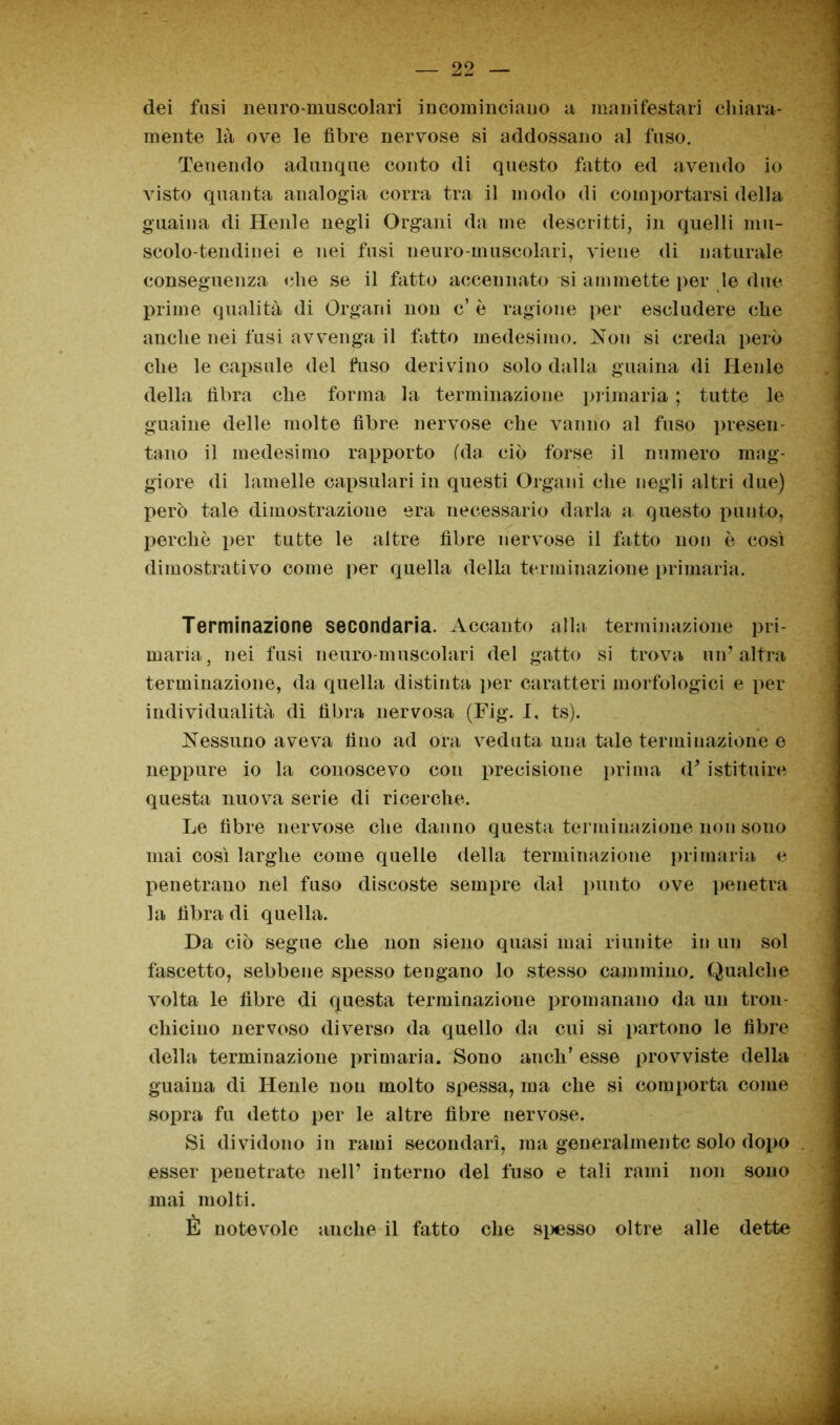 dei fusi neuro muscolari incominciano a manifestali chiara- mente là ove le fibre nervose si addossano al fuso. Tenendo adunque conto di questo fatto ed avendo io visto quanta analogia corra tra il modo di comportarsi della guaina di Henle negli Organi da me descritti, in quelli mu- scolo-tendinei e nei fusi neuro-muscolari, viene di naturale conseguenza (die se il fatto accennato si ammette per le due prime qualità di Organi non c’ è ragione per escludere che anche nei fusi avvenga il fatto medesimo. Non si creda però che le capsule del fuso derivino solo dalla guaina di Henle della fibra che forma la terminazione primaria ; tutte le guaine delle molte fibre nervose che vanno al fuso presen- tano il medesimo rapporto (da ciò forse il numero mag- giore di lamelle capsulari in questi Organi che negli altri due) però tale dimostrazione era necessario darla a questo puuto, perchè per tutte le altre fibre nervose il fatto non è così dimostrativo come per quella della terminazione primaria. Terminazione secondaria. Accanto alla terminazione pri- maria, nei fusi neuro-muscolari del gatto si trova un’altra terminazione, da quella distinta per caratteri morfologici e per individualità di fibra nervosa (Fig. I, ts). Nessuno aveva fino ad ora veduta una tale terminazione e neppure io la conoscevo con precisione prima d* istituire questa nuova serie di ricerche. Le fibre nervose che danno questa terminazione non sono mai così larghe come quelle della terminazione primaria e penetrano nel fuso discoste sempre dal punto ove penetra la fibra di quella. Da ciò segue che non sieno quasi mai riunite in un sol fascetto, sebbene spesso tengano lo stesso cammino. Qualche volta le fibre di questa terminazione promanano da un tron- chicino nervoso diverso da quello da cui si partono le fibre della terminazione primaria. Sono aneli’ esse provviste della guaina di Henle non molto spessa, ma che si comporta come sopra fu detto per le altre fibre nervose. Si dividono in rami secondari, ma generalmente solo dopo esser penetrate nell’ interno del fuso e tali rami non sono mai molti. È notevole anche il fatto che spesso oltre alle dette