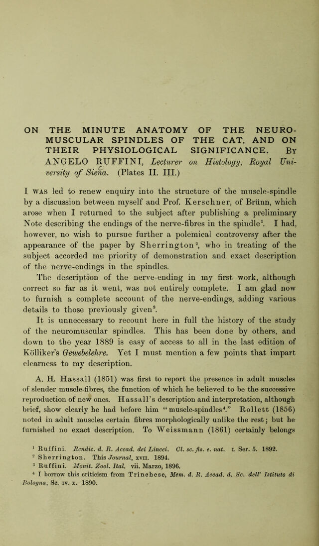 digitised image 2