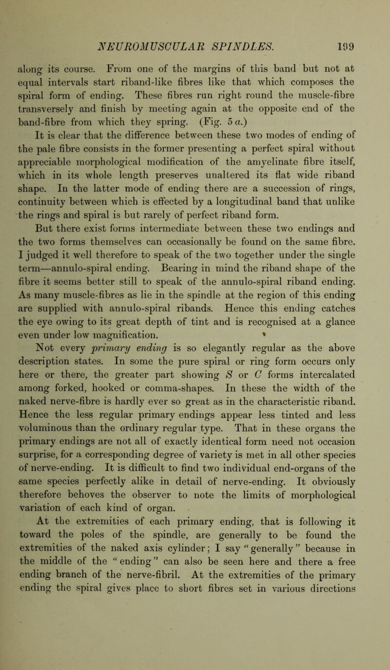 along its course. From one of the margins of this band but not at equal intervals start riband-like fibres like that which composes the spiral form of ending. These fibres run right round the muscle-fibre transversely and finish by meeting again at the opposite end of the band-fibre from which they spring. (Fig. 5 a.) It is clear that the difference between these two modes of ending of the pale fibre consists in the former presenting a perfect spiral without appreciable morphological modification of the amyelinate fibre itself, which in its whole length preserves unaltered its flat wide riband shape. In the latter mode of ending there are a succession of rings, continuity between which is effected by a longitudinal band that unlike the rings and spiral is but rarely of perfect riband form. But there exist forms intermediate between these two endings and the two forms themselves can occasionally be found on the same fibre. I judged it well therefore to speak of the two together under the single term—annulo-spiral ending. Bearing in mind the riband shape of the fibre it seems better still to speak of the annulo-spiral riband ending. As many muscle-fibres as lie in the spindle at the region of this ending are supplied with annulo-spiral ribands. Hence this ending catches the eye owing to its great depth of tint and is recognised at a glance even under low magnification. * Not every primary ending is so elegantly regular as the above description states. In some the pure spiral or ring form occurs only here or there, the greater part showing S or G forms intercalated among forked, hooked or commaTshapes. In these the width of the naked nerve-fibre is hardly ever so great as in the characteristic riband. Hence the less regular primary endings appear less tinted and less voluminous than the ordinary regular type. That in these organs the primary endings are not all of exactly identical form need not occasion surprise, for a corresponding degree of variety is met in all other species of nerve-ending. It is difficult to find two individual end-organs of the same species perfectly alike in detail of nerve-ending. It obviously therefore behoves the observer to note the limits of morphological variation of each kind of organ. At the extremities of each primary ending, that is following it toward the poles of the spindle, are generally to be found the extremities of the naked axis cylinder; I say “ generally ” because in the middle of the “ending” can also be seen here and there a free ending branch of the nerve-fibril. At the extremities of the primary ending the spiral gives place to short fibres set in various directions