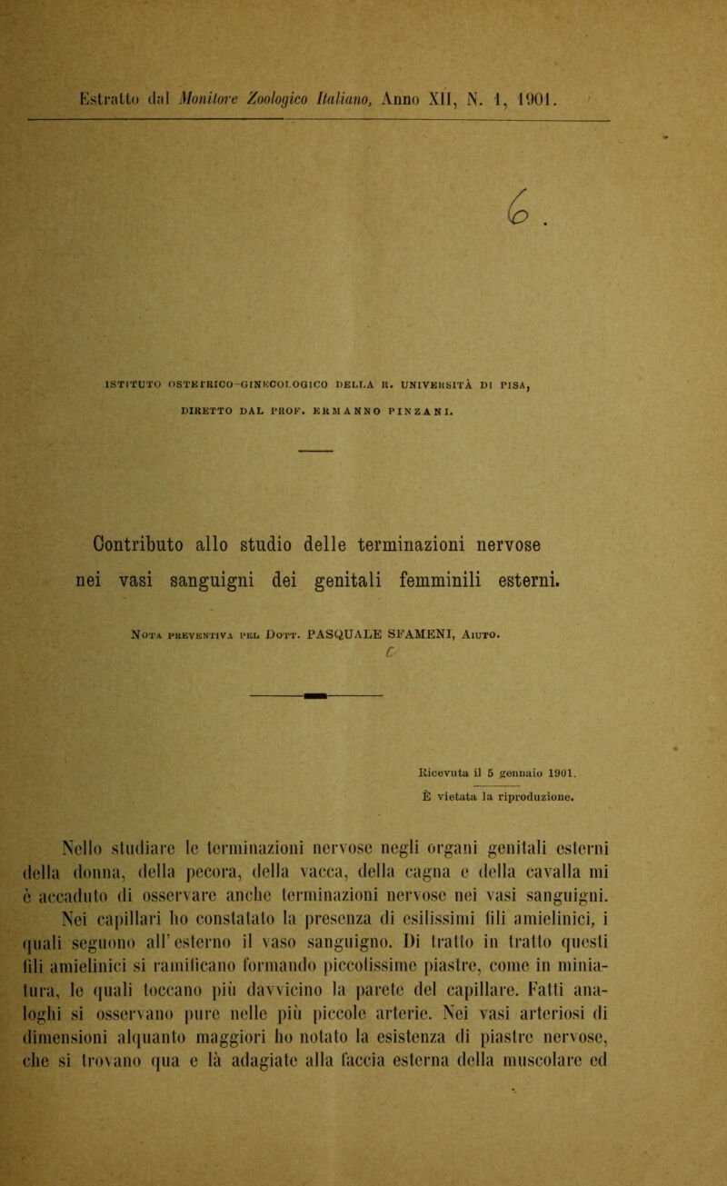 Estratto dal Monitore Zoologico Italiano, Anno XII, N. 1, 1901. ISTITUTO OSTETRICO-GINECOLOGICO DELLA U. UNIVERSITÀ DI PISA, DIRETTO DAL PROF. ERMANNO PINZANI. Contributo allo studio delle terminazioni nervose nei vasi sanguigni dei genitali femminili esterni. Nota preventiva pel Dott. PASQUALE SEAMENI, Aiuto. C/ Ricevuta il 5 gennaio 1901. È vietata la riproduzione. Nello studiare le terminazioni nervose negli organi genitali esterni della donna, della pecora, della vacca, della cagna e della cavalla mi ò accaduto di osservare anche terminazioni nervose nei vasi sanguigni. Nei capillari ho constatato la presenza di esilissimi fili amielinici, i quali seguono all’esterno il vaso sanguigno. Di tratto in tratto questi fili amielinici si ramificano formando piccolissime piastre, come in minia- tura, le (piali toccano più davvicino la parete del capillare. Fatti ana- loghi si osservano pure nelle più piccole arterie. Nei vasi arteriosi di dimensioni alquanto maggiori ho notato la esistenza di piastre nervose, che si trovano qua e là adagiate alla faccia esterna della muscolare ed