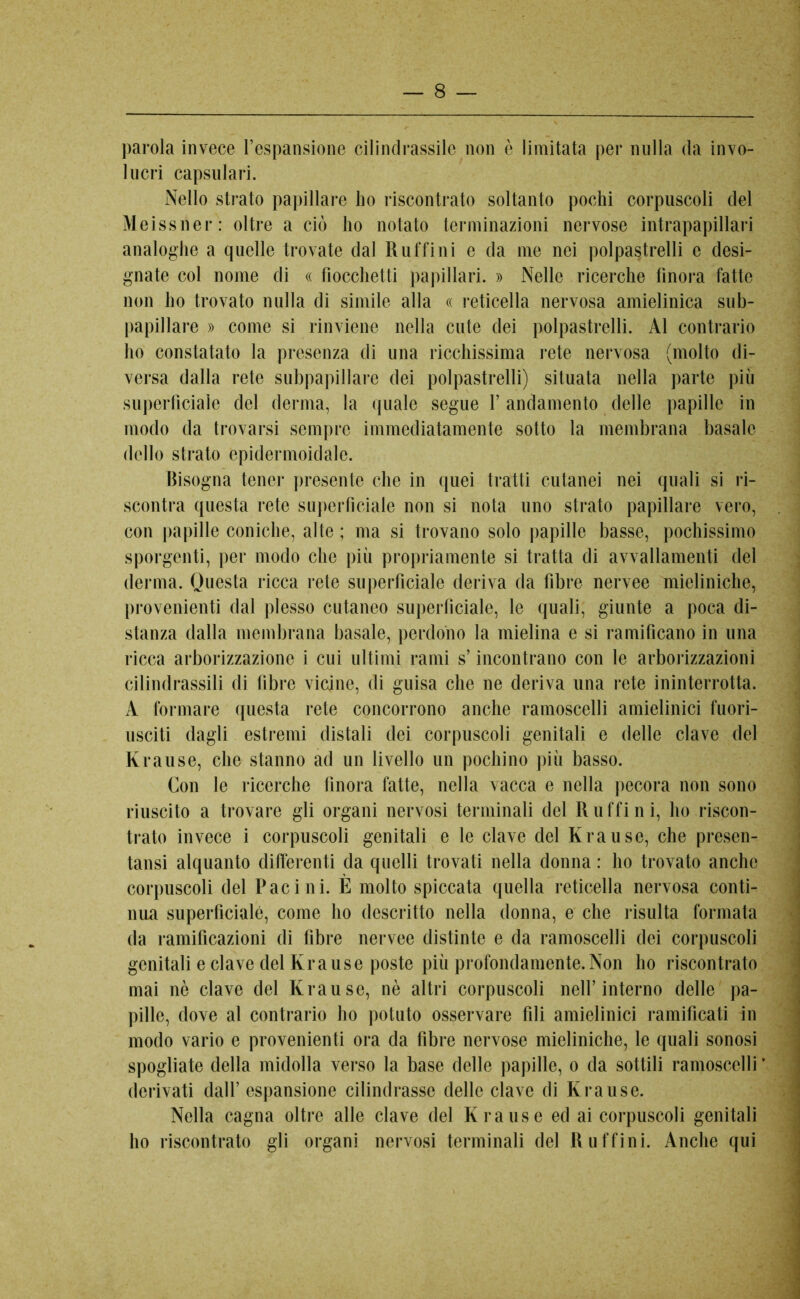 parola invece l’espansione cilindrassile non è limitata per nulla da invo- lucri capsulari. Nello strato papillare ho riscontrato soltanto pochi corpuscoli del Meissner: oltre a ciò ho notato terminazioni nervose intrapapillari analoghe a quelle trovate dal Ruffini e da me nei polpastrelli e desi- gnate col nome di « fiocchetti papillari. » Nelle ricerche finora fatte non ho trovato nulla di simile alla « reticella nervosa amielinica sub- papillare » come si rinviene nella cute dei polpastrelli. Al contrario ho constatato la presenza di una ricchissima rete nervosa (molto di- versa dalla rete subpapillare dei polpastrelli) situata nella parte più superficiale del derma, la quale segue f andamento delle papille in modo da trovarsi sempre immediatamente sotto la membrana basale dello strato epidermoidale. Risogna tener presente che in quei tratti cutanei nei quali si ri- scontra questa rete superficiale non si nota uno strato papillare vero, con papille coniche, alte ; ma si trovano solo papille basse, pochissimo sporgenti, per modo che più propriamente si tratta di avvallamenti del derma. Questa ricca rete superficiale deriva da fibre nervee mieliniche, provenienti dal plesso cutaneo superficiale, le quali, giunte a poca di- stanza dalla membrana basale, perdono la mielina e si ramificano in una ricca arborizzazione i cui ultimi rami s’incontrano con le arborizzazioni cilindrassili di fibre vicine, di guisa che ne deriva una rete ininterrotta. A formare questa rete concorrono anche ramoscelli amielinici fuori- usciti dagli estremi distali dei corpuscoli genitali e delle clave del Krause, che stanno ad un livello un pochino più basso. Con le ricerche finora fótte, nella vacca e nella pecora non sono riuscito a trovare gli organi nervosi terminali del Ruffini, ho riscon- trato invece i corpuscoli genitali e le clave del Krause, che presen- tatisi alquanto differenti da quelli trovati nella donna : ho trovato anche corpuscoli del Paci ni. È molto spiccata quella reticella nervosa conti- nua superficiale, come ho descritto nella donna, e che risulta formata da ramificazioni di fibre nervee distinte e da ramoscelli dei corpuscoli genitali e clave del Krause poste più profondamente.Non ho riscontrato mai nò clave del Krause, nè altri corpuscoli nell’interno delle pa- pille, dove al contrario ho potuto osservare fili amielinici ramificati in modo vario e provenienti ora da fibre nervose mieliniche, le quali sonosi spogliate della midolla verso la base delle papille, o da sottili ramoscelli’ derivati dall’ espansione cilindrasse delle clave di Krause. Nella cagna oltre alle clave del Krause ed ai corpuscoli genitali ho riscontrato gli organi nervosi terminali del Ruffini. Anche qui