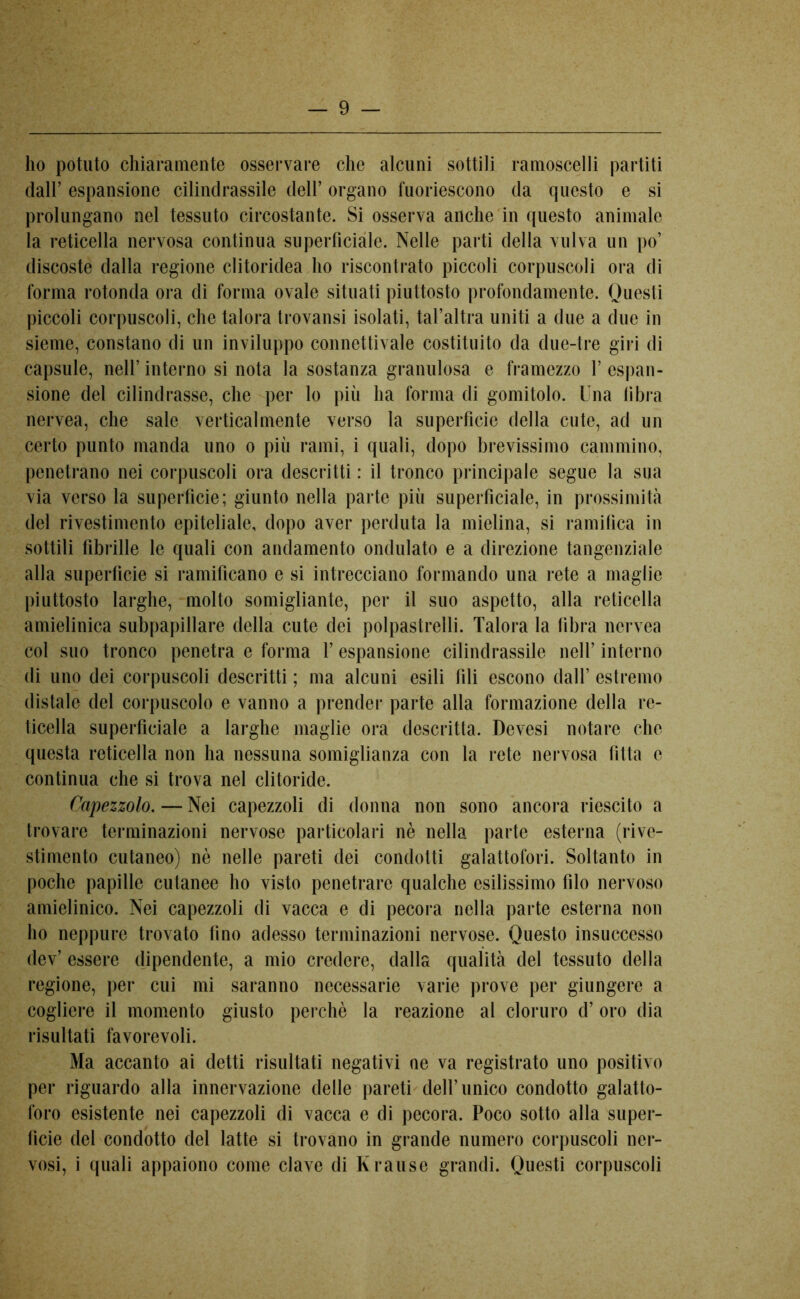 ho potuto chiaramente osservare che alcuni sottili ramoscelli partiti dall’ espansione cilindrassile dell’ organo fuoriescono da questo e si prolungano nel tessuto circostante. Si osserva anche in questo animale la reticella nervosa continua superficiale. Nelle parti della vulva un po’ discoste dalla regione clitoridea ho riscontrato piccoli corpuscoli ora di forma rotonda ora di forma ovale situati piuttosto profondamente. Questi piccoli corpuscoli, che talora trovansi isolati, tal’altra uniti a due a due in sieme, constano di un inviluppo connettivale costituito da due-tre giri di capsule, nell’ interno si nota la sostanza granulosa e framezzo 1’ espan- sione del cilindrasse, che per lo più ha forma di gomitolo. Una fibra nervea, che sale verticalmente verso la superficie della cute, ad un certo punto manda uno o più rami, i quali, dopo brevissimo cammino, penetrano nei corpuscoli ora descritti : il tronco principale segue la sua via verso la superfìcie; giunto nella parte più superficiale, in prossimità del rivestimento epiteliale, dopo aver perduta la mielina, si ramifica in sottili fibrille le quali con andamento ondulato e a direzione tangenziale alla superficie si ramificano e si intrecciano formando una rete a maglie piuttosto larghe, molto somigliante, per il suo aspetto, alla reticella amielinica subpapillare della cute dei polpastrelli. Talora la fibra nervea col suo tronco penetra e forma 1’ espansione cilindrassile nell’ interno di uno dei corpuscoli descritti ; ma alcuni esili fili escono dall’ estremo distale del corpuscolo e vanno a prender parte alla formazione della re- ticella superficiale a larghe maglie ora descritta. Devesi notare che questa reticella non ha nessuna somiglianza con la rete nervosa fitta c continua che si trova nel clitoride. Capezzolo. — Nei capezzoli di donna non sono ancora riescito a trovare terminazioni nervose particolari nè nella parte esterna (rive- stimento cutaneo) nè nelle pareti dei condotti galattofori. Soltanto in poche papille cutanee ho visto penetrare qualche esilissimo filo nervoso amielinico. Nei capezzoli di vacca e di pecora nella parte esterna non ho neppure trovato fino adesso terminazioni nervose. Questo insuccesso dev’ essere dipendente, a mio credere, dalla qualità del tessuto della regione, per cui mi saranno necessarie varie prove per giungere a cogliere il momento giusto perchè la reazione al cloruro d’ oro dia risultati favorevoli. Ma accanto ai detti risultati negativi ne va registrato uno positivo per riguardo alla innervazione delle pareti dell’unico condotto galatto- foro esistente nei capezzoli di vacca e di pecora. Poco sotto alla super- ficie del condotto del latte si trovano in grande numero corpuscoli ner- vosi, i quali appaiono come clave di Krause grandi. Questi corpuscoli