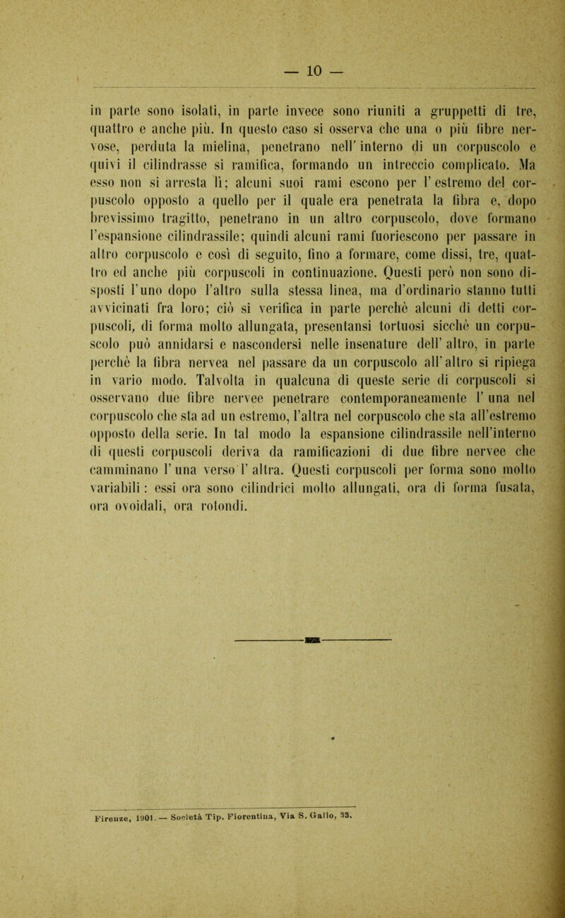 in parte sono isolati, in parte invece sono riuniti a gruppetti eli tre, quattro e anche più. In questo caso si osserva che una o più libre ner- vose, perduta la mielina, penetrano nell’ interno di un corpuscolo e quivi il cilindrasse si ramifica, formando un intreccio complicato. Ma esso non si arresta lì; alcuni suoi rami escono per l’estremo del cor- puscolo opposto a quello per il quale era penetrata la fibra e, dopo brevissimo tragitto, penetrano in un altro corpuscolo, dove formano l’espansione cilindrassile; quindi alcuni rami fuoriescono per passare in altro corpuscolo e così di seguito, fino a formare, come dissi, tre, quat- tro ed anche più corpuscoli in continuazione. Questi però non sono di- sposti l’uno dopo l’altro sulla stessa linea, ma d’ordinario stanno tutti avvicinati fra loro; ciò si verifica in parte perchè alcuni di detti cor- puscoli, di forma molto allungata, presentansi tortuosi sicché un corpu- scolo può annidarsi e nascondersi nelle insenature dell’ altro, in parte perchè la fibra nervea nel passare da un corpuscolo all’altro si ripiega in vario modo. Talvolta in qualcuna di queste serie di corpuscoli si osservano due fibre nervee penetrare contemporaneamente 1’ una nel corpuscolo che sta ad un estremo, l’altra nel corpuscolo che sta aH’estremo opposto della serie. In tal modo la espansione cilindrassile nell’interno di questi corpuscoli deriva da ramificazioni di due fibre nervee che camminano 1’una versoi’altra. Questi corpuscoli per forma sono molto variabili : essi ora sono cilindrici molto allungati, ora di forma fusata, ora ovoidali, ora rotondi. Firenze, 14)01.— Società Tip. Fiorentina, Via S. Gallo, 33.