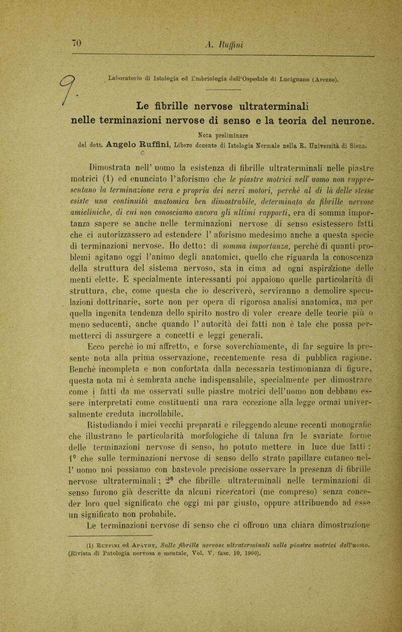 70 Laboratorio di Istologia ed Embriologia dell’Ospedale di Lucignano (Arezzo). Le fibrille nervose ultraterminali nelle terminazioni nervose di senso e la teoria del neurone. Nota preliminare del dott, Angelo Rufflni, Libero decente di Istologia Normale nella R. Università di Siena. C Dimostrata nell’ uomo la esistenza di fibrille ultraterminali nelle piastre motrici (1) ed enunciato l’aforismo che le 'piastre motrici nell’ nomo non rappre- sentano la terminazione vera e propria dei nervi motori, perchè al di là delle stesse esiste una continuità anatomica ben dimostrabile, determinata da fibrille nervose amieliniche, di cui non conosciamo ancora gli ultimi rapporti, era di somma impor- tanza sapere se anche nelle terminazioni nervose di senso esistessero fatti che ci autorizzassero ad estendere P aforismo medesimo anche a questa specie di terminazioni nervose. Ilo detto: di somma importanza, perchè di quanti pro- blemi agitano oggi l’animo degli anatomici, quello che riguarda la conoscenza della struttura del sistema nervoso, sta in cima ad ogni aspirazione delle menti elette. E specialmente interessanti poi appaiono quelle particolarità di struttura, che, come questa che io descriverò, serviranno a demolire specu- lazioni dottrinarie, sorte non per opera di rigorosa analisi anatomica, ma per quella ingenita tendenza dello spirito nostro di voler creare delle teorie più o meno seducenti, anche quando P autorità dei fatti non è tale che possa per- metterci di assurgere a concetti e leggi generali. Ecco perchè io mi affretto, e forse soverchiamente, di far seguire la pre- sente nota alla prima osservazione, recentemente resa di pubblica ragione. Benché incompleta e non confortata dalla necessaria testimonianza di figure, questa nota mi è sembrata anche indispensabile, specialmente per dimostrare come i fatti da me osservati sulle piastre motrici dell’uomo non debbano es- sere interpretati come costituenti una rara eccezione alla legge ormai univer- salmente creduta incrollabile. Ristudiando i miei vecchi preparati e rileggendo alcune recenti monografìe che illustrano le particolarità morfologiche di taluna fra le svariate forme delle terminazioni nervose di senso, ho potuto mettere in luce due fatti : 1° che sulle terminazioni nervose di senso dello strato papillare cutaneo-nel- P uomo noi possiamo con bastevole precisione osservare la presenza di fibrille nervose ultraterminali ; 2° che fibrille ultraterminali nelle terminazioni di senso furono già descritte da alcuni ricercatori (me compreso) senza conce- der loro quel significato che oggi mi par giusto, oppure attribuendo ad esse un significato non probabile. Le terminazioni nervose di senso che ci offrono una chiara dimostrazione (1) Ruffini ed Apàthy, Sulle fibrille nervose ultraterminali nelle piastre motrici dell’uomo.