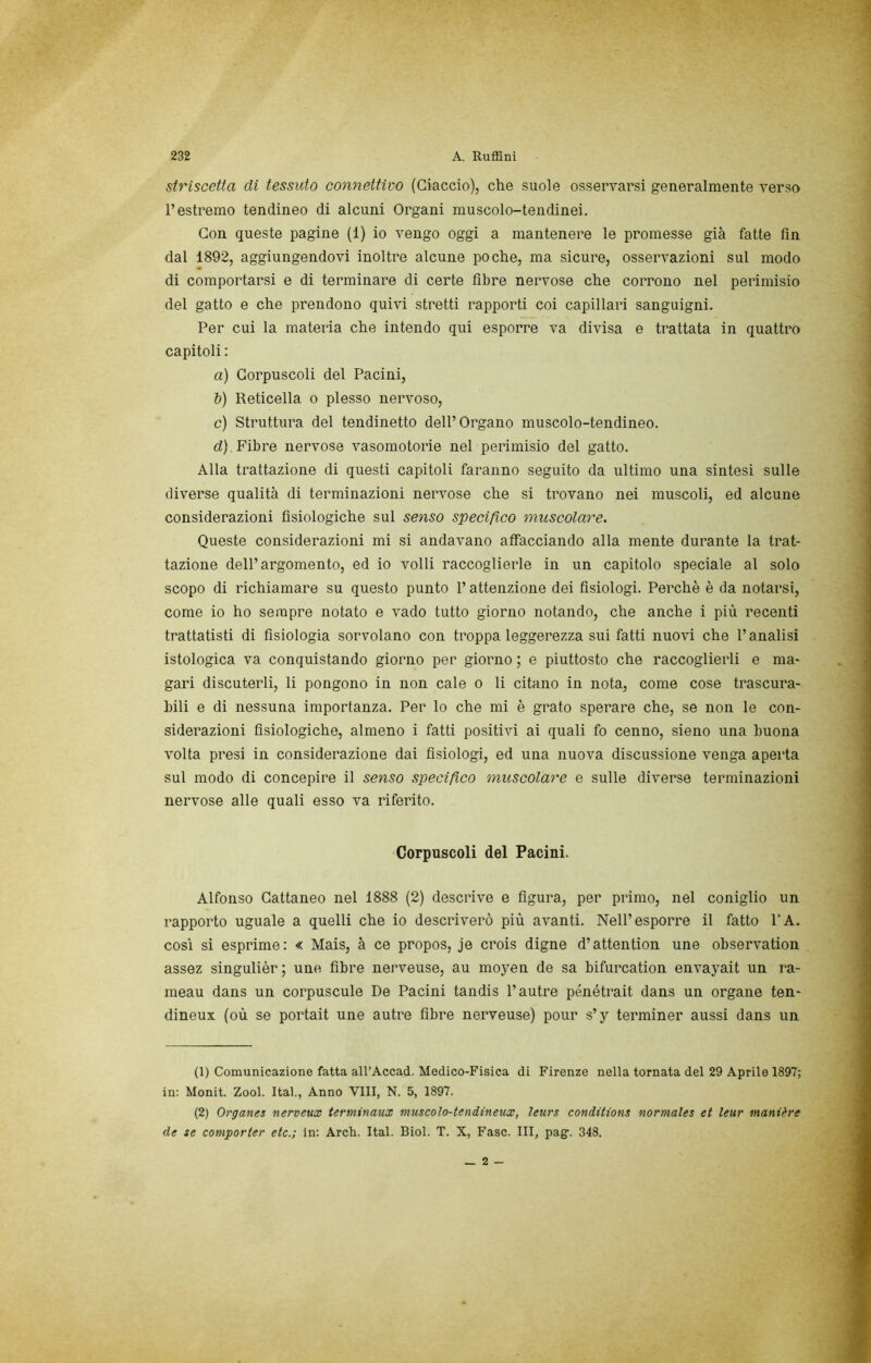 striscetta di tessuto connettivo (Giaccio), che suole osservarsi generalmente verso l’estremo tendineo di alcuni Organi muscolo-tendinei. Con queste pagine (1) io vengo oggi a mantenere le promesse già fatte fin dal 1892, aggiungendovi inoltre alcune poche, ma sicure, osservazioni sul modo di comportarsi e di terminare di certe fibre nervose che corrono nel perimisio del gatto e che prendono quivi stretti rapporti coi capillari sanguigni. Per cui la materia che intendo qui esporre va divisa e trattata in quattro capitoli : a) Corpuscoli del Pacini, &) Reticella o plesso nervoso, c) Struttura del tendinetto dell’Organo muscolo-tendineo. d) . Fibre nervose vasomotorie nel perimisio del gatto. Alla trattazione di questi capitoli faranno seguito da ultimo una sintesi sulle diverse qualità di terminazioni nervose che si trovano nei muscoli, ed alcune considerazioni fisiologiche sul senso specifico muscolare. Queste considerazioni mi si andavano affacciando alla mente durante la trat- tazione dell’argomento, ed io volli raccoglierle in un capitolo speciale al solo scopo di richiamare su questo punto l’attenzione dei fisiologi. Perchè è da notarsi, come io ho sempre notato e vado tutto giorno notando, che anche i più recenti trattatisti di fisiologia sorvolano con troppa leggerezza sui fatti nuovi che l’analisi istologica va conquistando giorno per giorno ; e piuttosto che raccoglierli e ma- gari discuterli, li pongono in non cale o li citano in nota, come cose trascura- bili e di nessuna importanza. Per lo che mi è grato sperare che, se non le con- siderazioni fisiologiche, almeno i fatti positivi ai quali fo cenno, sieno una buona volta presi in considerazione dai fisiologi, ed una nuova discussione venga aperta sul modo di concepire il senso specifico muscolare e sulle diverse terminazioni nervose alle quali esso va riferito. Corpuscoli del Pacini. Alfonso Cattaneo nel 1888 (2) descrive e figura, per primo, nel coniglio un rapporto uguale a quelli che io descriverò più avanti. Nell’esporre il fatto FA. così si esprime: « Mais, à ce propos, je crois digne d’attention une observation assez singulièr; une fibre nerveuse, au moyen de sa bifurcation envayait un ra- meau dans un corpuscule De Pacini tandis l’autre pénétrait dans un ergane ten- dineux (où se portait une autre fibre nerveuse) pour s’y terminer aussi dans un (1) Comunicazione fatta all’Accad. Medico-Fisica di Firenze nella tornata del 29 Aprile 1897; in: Monit. Zool. Ital., Anno Vili, N. 5, 1897. (2) Organes nerveux terminaux muscolo-tendineux, leurs conditions normales et leur manière de se comporter etc.; in: Arch. Ital. Biol. T. X, Fase. Ili, pag. 348. _ 2 -