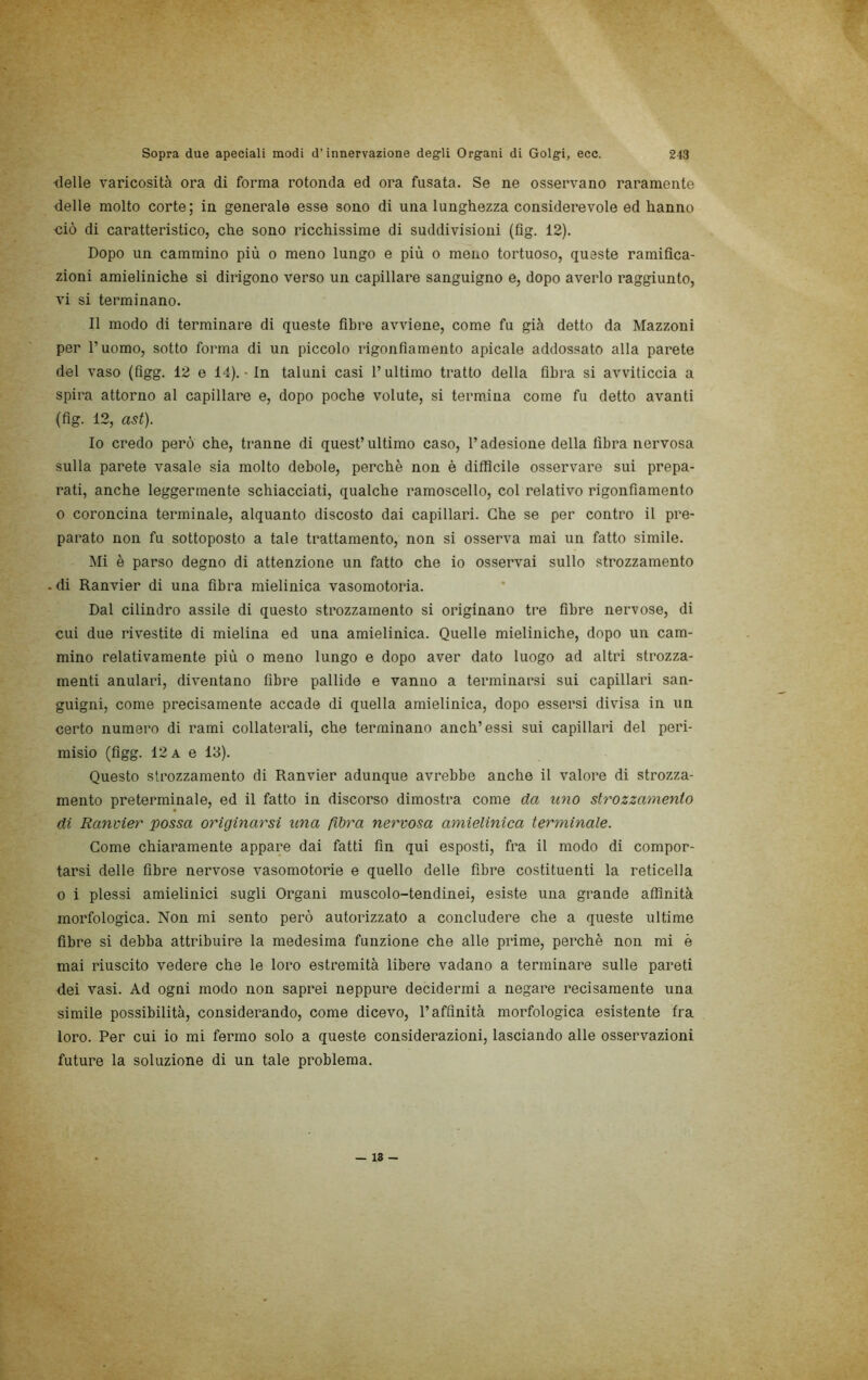 ■delle varicosità ora di forma rotonda ed ora fusata. Se ne osservano raramente delle molto corte; in generale esse sono di una lunghezza considerevole ed hanno ciò di caratteristico, che sono ricchissime di suddivisioni (flg. 12). Dopo un cammino più o meno lungo e più o meno tortuoso, queste ramifica- zioni amieliniche si dirigono verso un capillare sanguigno e, dopo averlo raggiunto, vi si terminano. Il modo di terminare di queste fibre avviene, come fu già detto da Mazzoni per l’uomo, sotto forma di un piccolo rigonfiamento apicale addossato alla parete del vaso (figg. 12 e 14). • In taluni casi l’ultimo tratto della fibra si avviticcia a spira attorno al capillare e, dopo poche volute, si termina come fu detto avanti (fig. 12, ast). Io credo però che, tranne di quest’ultimo caso, l’adesione della fibra nervosa sulla parete vasale sia molto debole, perchè non è difficile osservare sui prepa- rati, anche leggermente schiacciati, qualche ramoscello, col relativo rigonfiamento o coroncina terminale, alquanto discosto dai capillari. Che se per contro il pre- parato non fu sottoposto a tale trattamento, non si osserva mai un fatto simile. Mi è parso degno di attenzione un fatto che io osservai sullo strozzamento - di Ranvier di una fibra mielinica vasomotoria. Dal cilindro assile di questo strozzamento si originano tre fibre nervose, di cui due rivestite di mielina ed una amielinica. Quelle mieliniche, dopo un cam- mino relativamente più o meno lungo e dopo aver dato luogo ad altri strozza- menti anulari, diventano fibre pallide e vanno a terminarsi sui capillari san- guigni, come precisamente accade di quella amielinica, dopo essersi divisa in un certo numero di rami collaterali, che terminano anch’essi sui capillari del peri- misio (figg. 12 A e 13). Questo strozzamento di Ranvier adunque avrebbe anche il valore di strozza- mento preterminale, ed il fatto in discorso dimostra come da uno strozzamento di Ranvier possa originarsi una fibra nervosa amielinica terminale. Come chiaramente appare dai fatti fin qui esposti, fra il modo di compor- tarsi delle fibre nervose vasomotorie e quello delle fibre costituenti la reticella o i plessi amielinici sugli Organi muscolo-tendinei, esiste una grande affinità morfologica. Non mi sento però autorizzato a concludere che a queste ultime fibre si debba attribuire la medesima funzione che alle prime, perchè non mi è mai riuscito vedere che le loro estremità libere vadano a terminare sulle pareti dei vasi. Ad ogni modo non saprei neppure decidermi a negare recisamente una simile possibilità, considerando, come dicevo, l’affinità morfologica esistente fra loro. Per cui io mi fermo solo a queste considerazioni, lasciando alle osservazioni future la soluzione di un tale problema. — 18 -