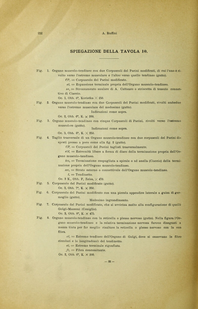 SPIEGAZIONE DELLA TAVOLA 10. Fig. Fig. Fig. Fig. Fig. Fig. Fig. Fig. 1. Organo muscolo-tendineo con due Corpuscoli del Pacini modificati, di cui l’uno è ri- volto verso l’estremo muscolare e l’altro verso quello tendineo (gatto). CP, = Corpuscolo del Pacini modificato. et, = Espansione terminale propria dell’Organo muscolo-tendineo. sa, — Strozzamento anulare di A. Cattaneo o striscetta di tessuto connet- tivo di Ciaccio. Oc. 1, Obb. 6*, Koristka X 150. 2. Organo muscolo-tendineo con due Corpuscoli del Pacini modificati, rivolti ambedue verso l’estremo muscolare del medesimo (gatto). Indicazioni come sopra. Oc. 2, Obb. 6‘, K. x 200. 3. Organo muscolo-tendineo con cinque Corpuscoli di Pacini, rivolti verso l’estremo muscolare (gatto). Indicazioni come sopra. Oc. 3, Obb. 6*, K. X 250. 4. Taglio trasversale di un Organo muscolo-tendineo con due corpuscoli del Pacini di- sposti presso a poco come alla fig. 2 (gatto). CP, = Corpuscoli del Pacini tagliati trasversalmente. eld, — Estremità libere a forma di disco della terminazione propria dell’Or- gano muscolo-tendineo. tco, = Terminazione cespugliata a spirale o ad anella (Ciaccio) della termi- nazione propria dell’Organo muscolo-tendineo. sec, == Strato esterno o connettivale dell’Organo muscolo-tendineo. t, ~ Tendinetto. Oc. 3 K., Obb. F, Zeiss, X 470. 5. Corpuscolo del Pacini modificato (gatto). Oc. 3, Obb. V, K. X 350. 6. Corpuscolo del Pacini modificato con una piccola appendice laterale a guisa di ger- moglio (gatto). Medesimo ingrandimento. 7. Corpuscolo del Pacini modificato, che si avvicina molto alla configurazione di quelli Golgi-Mazzoni (Coniglio). Oc. 3, Obb. 8‘, K. X 475. 8. Organo muscolo-tendineo con la reticella o plesso nervoso (gatto). Nella figura l’Or- gano muscolo-tendineo e la relativa terminazione nervosa furono disegnati a mezza tinta per far meglio risaltare la reticella o plesso nervoso con la sua fibra. et, = Estremo tendineo dell’Organo di Golgi, dove si osservano le fibre circolari e le longitudinali del tendinetto. et, = Estremo terminale rigonfiato. fc, = Fibra concomitante. Oc. 2, Obb. 6*, K. X 200. — 22 —
