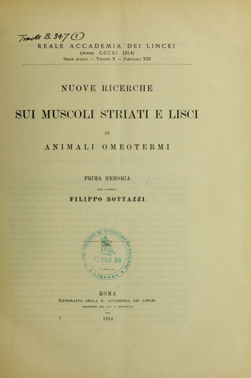 REALE ACCADEMIA DEI LINCEI (Anno CCCXI 1914) Serie quinta — Volume X — Fascicolo XIII NUOVE RICERCHE SUI MUSCOLI STRIATI E LISCI DI ANIMALI OMEOTERMI PRIMA MEMORIA DEL COIUtlSL'. FILIPPO BOTTAZZ1 TIPOGRAFIA della r. accademia dei lincei PROPRIETÀ DEL CAV. V. SALVIUCC1 t 1914