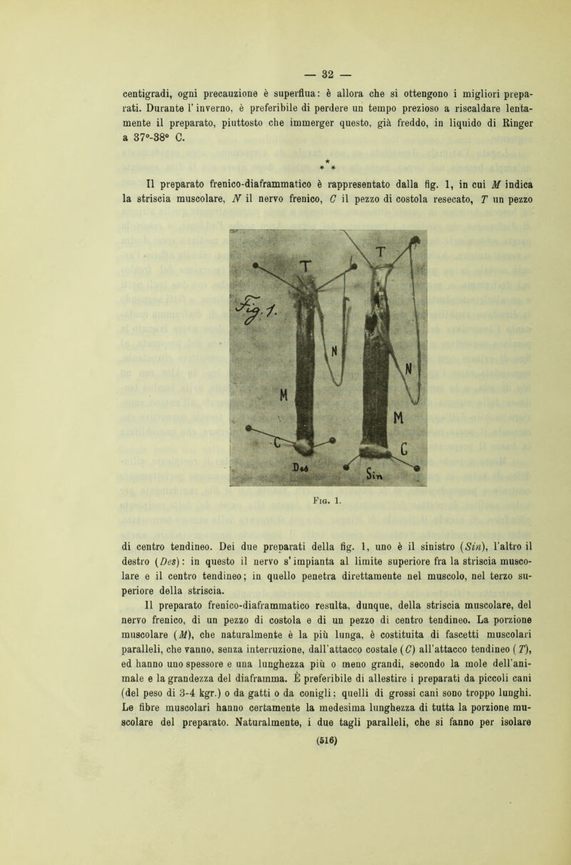 32 — centigradi, ogni precauzione è superflua: è allora che si ottengono i migliori prepa- rati. Durante l’inverno, è preferibile di perdere un tempo prezioso a riscaldare lenta- mente il preparato, piuttosto che immerger questo, già freddo, in liquido di Ringer a 37°-38° C. ★ * * Il preparato frenico-diaframmatico è rappresentato dalla fig. 1, in cui M indica la striscia muscolare, N il nervo frenico, C il pezzo di costola resecato, T un pezzo Fig. 1. di centro tendineo. Dei due preparati della fig. 1, uno è il sinistro (Sin), l’altro il destro (Des): in questo il nervo s’impianta al limite superiore fra la striscia musco- lare e il centro tendineo; in quello penetra direttamente nel muscolo, nel terzo su- periore della striscia. 11 preparato frenico-diaframmatico resulta, dunque, della striscia muscolare, del nervo frenico, di un pezzo di costola e di un pezzo di centro tendineo. La porzione muscolare (M), che naturalmente è la più lunga, è costituita di fascetti muscolari paralleli, che vanno, senza interruzione, dall’attacco costale (G) all’attacco tendineo ( T), ed hanno uno spessore e una lunghezza più o meno grandi, secondo la mole dell’ani- male e la grandezza del diaframma. È preferibile di allestire i preparati da piccoli cani (del peso di 3-4 kgr.) o da gatti o da conigli; quelli di grossi cani sono troppo lunghi. Le fibre muscolari hanno certamente la medesima lunghezza di tutta la porzione mu- scolare del preparato. Naturalmente, i due tagli paralleli, che si fanno per isolare