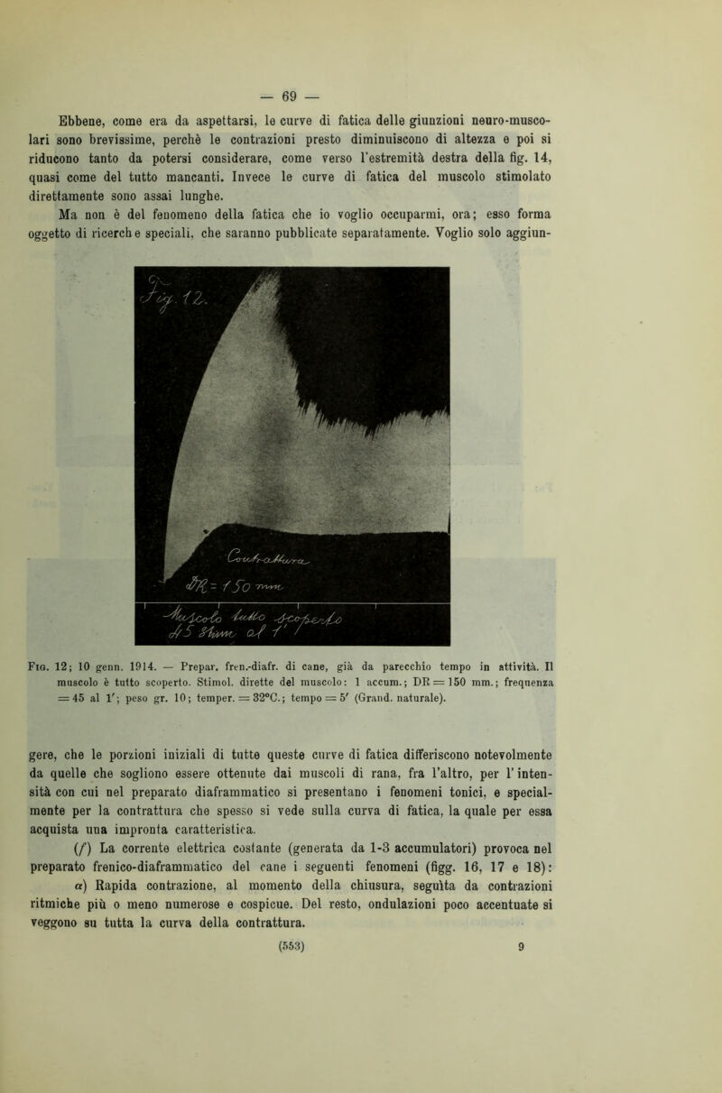 - 69 — Ebbene, come era da aspettarsi, le curve di fatica delle giunzioni neuro-musco- lari sono brevissime, perchè le contrazioni presto diminuiscono di altezza e poi si riducono tanto da potersi considerare, come verso l’estremità destra della tìg. 14, quasi come del tutto mancanti. Invece le curve di fatica del muscolo stimolato direttamente sono assai lunghe. Ma non è del fenomeno della fatica che io voglio occuparmi, ora; esso forma oggetto di ricerche speciali, che saranno pubblicate separatamente. Voglio solo aggiun- Fig. 12; 10 genn. 1914. — Prepar. fren.-diafr. di cane, già da parecchio tempo in attività. Il muscolo è tutto scoperto. Stimol. dirette del muscolo: 1 accum.; DR=150 mm.; frequenza = 45 al 1'; peso gr. 10; temper. = 32°C.; tempo = 5' (Grand, naturale). gere, che le porzioni iniziali di tutte queste curve di fatica differiscono notevolmente da quelle che sogliono essere ottenute dai muscoli di rana, fra l’altro, per l’inten- sità con cui nel preparato diaframmatico si presentano i fenomeni tonici, e special- mente per la contrattura che spesso si vede sulla curva di fatica, la quale per essa acquista una impronta caratteristica. (/) La corrente elettrica costante (generata da 1-3 accumulatori) provoca nel preparato frenico-diaframmatico del cane i seguenti fenomeni (figg. 16, 17 e 18): a) Rapida contrazione, al momento della chiusura, seguita da contrazioni ritmiche più o meno numerose e cospicue. Del resto, ondulazioni poco accentuate si veggono su tutta la curva della contrattura.