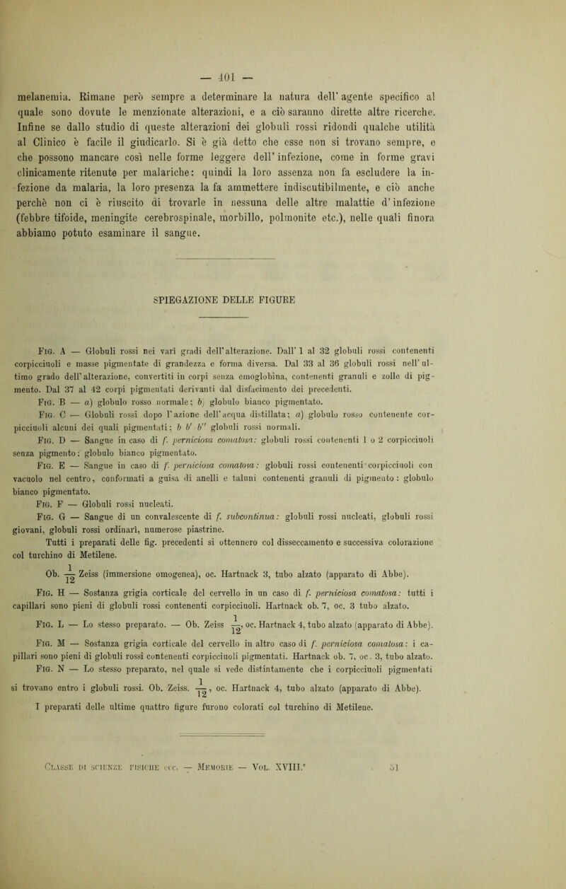 melanetuia. Rimane però sempre a determinare la natura dell’ agente specifico al quale sono dovute le menzionate alterazioni, e a ciò saranno dirette altre ricerche. Infine se dallo studio di queste alterazioni dei globuli rossi ridondi qualche utilità al Clinico è facile il giudicarlo. Si è già detto che esse non si trovano sempre, e che possono mancare così nelle forme leggere dell’ infezione, come in forme gravi clinicamente ritenute per malariche: quindi la loro assenza non fa escludere la in- fezione da malaria, la loro presenza la fa ammettere indiscutibilmente, e ciò anche perchè non ci è riuscito di trovarle in nessuna delle altre malattie d’infezione (febbre tifoide, meningite cerebrospinale, morbillo, polmonite etc.), nelle quali finora abbiamo potuto esaminare il sangue. SPIEGAZIONE DELLE FIGURE Fig. A — Globuli rossi nei vari gradi dell'alterazione. Dall' 1 al 32 globuli rossi contenenti corpicciuoli e masse pigmentate di grandezza e forma diversa. Dal 33 al 36 globuli rossi nell’ ul- timo grado dell’alterazione, convertiti in corpi senza emoglobina, contenenti granuli e zolle di pig- mento. Dal 37 al 42 corpi pigmcntati derivanti dal disfacimento dei precedenti. FiG. B — a) globulo rosso normale; b) globulo bianco pigmentato. Fig. C ■— Globuli rossi dopo l’azione dell'acqua distillata; a) globulo rosso contenente cor- picciuoli alcuni dei quali pigmentali; b b' b” globuli rossi normali. Fig. D — Sangue in caso di f. perniciosa comatosa: globuli rossi contenenti 1 o 2 corpicciuoli senza pigmento: globulo bianco pigmentato. Fig. E — Sangue in caso di /'. perniciosa comatosa: globuli rossi contenenti-corpicciuoli con vacuolo nel centro, conformati a guisa di anelli e taluni contenenti granuli di pigmento: globulo bianco pigmentato. Fig. F — Globuli rossi nucleati. Fig. G — Sangue di un convalescente di f. subcontinua: globuli rossi nucleati, globuli rossi giovani, globuli rossi ordinari, numerose piastrine. Tutti i preparati delle fig. precedenti si ottennero col disseccamento e successiva colorazione col turchino di Metilene. Ob. Zeiss (immersione omogenea), oc. Hartnack 3, tubo alzato (apparato di Abbe). Fig. H — Sostanza grigia corticale del cervello in un caso di f. perniciosa comatosa: tutti i capillari sono pieni di globuli rossi contenenti corpicciuoli. Hartnack ob. 7, oc. 3 tubo alzato. Fig. L — Lo stesso preparato. — Ob. Zeiss oc. Hartnack 4, tubo alzato (apparato di Abbe). Fig. M — Sostanza grigia corticale del cervello in altro caso di f. perniciosa comatosa: i ca- pillari sono pieni di globuli rossi contenenti corpicciuoli pigmentati. Hartnack ob. 7, oc. 3, tubo alzato. Fig. N — Lo stesso preparato, nel quale si vede distintamente che i corpicciuoli pigmentati si trovano entro i globuli rossi. Ob. Zeiss. , oc. Hartnack 4, tubo alzato (apparato di Abbe). I preparati delle ultime quattro figure furono colorati col turchino di Metilene. Classe ih scienze fisiche ire. — Memorie — Vol. XVIII/ 51