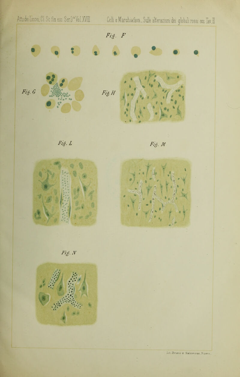Aitideilmcei.Cl.Sc.fia ecc.Ser3.aVof.XVI okli rossi ecc.lav.E Fì$- F Fi;i. 0 • * * «■ V # MM », * 1 éZ Q- 7. / 4* • ?• • « # %* Fi^. l Fi^. m » > 1 i I • i-: v • L 1 L Fi 6. N'