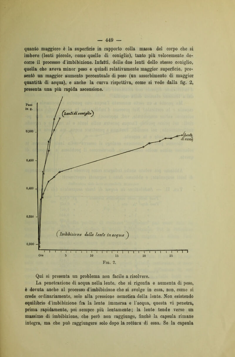 quanto maggiore è la superficie in rapporto colla massa del corpo che si imbeve (lenti piccole, come quelle di coniglio), tanto più velocemente de- corre il processo d’imbibizione. Infatti, delle due lenti dello stesso coniglio, quella che aveva minor peso e quindi relativamente maggior superficie, pre- sentò un maggior aumento percentuale di peso (un assorbimento di maggior quantità di acqua), e anche la curva rispettiva, come si vede dalla fig. 2, presenta una più rapida ascensione. Qui si presenta un problema non facile a risolvere. La penetrazione di acqua nella lente, che si rigonfia e aumenta di peso, è dovuta anche al processo d’imbibizione che si svolge in essa, non, come si crede ordinariamente, solo alla pressione osmotica della lente. Non esistendo equilibrio d’imbibizione fra la lente immersa e l’acqua, questa vi penetra, prima rapidamente, poi sempre più lentamente; la lente tende verso un massimo di imbibizione, che però non raggiunge, finché la capsula rimane integra, ma che può raggiungere solo dopo la rottura di essa. Se la capsula