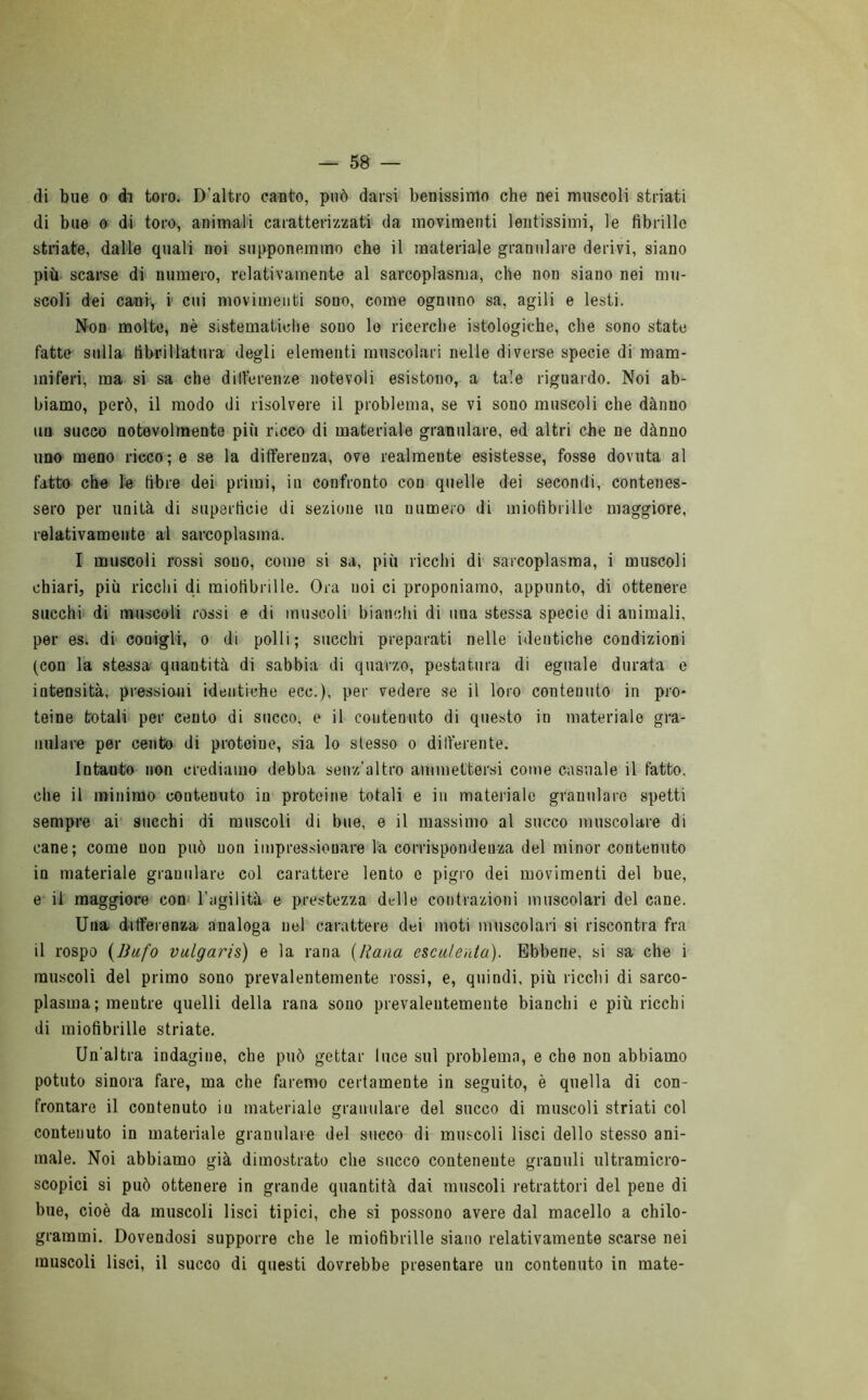 di bue o di toro. D'altro canto, può darsi benissimo che nei muscoli striati di bue o di toro, animali caratterizzati da movimenti lentissimi, le fibrille striate, dalle quali noi supponemmo che il materiale granulare derivi, siano più scarse di numero, relativamente al sarcoplasma, che non siano nei mu- scoli dei cani, i cui movimenti sono, come ognuno sa, agili e lesti. Non molte, nè sistematiche sono le ricerche istologiche, che sono state fatte sulla tìbrillatura degli elementi muscolari nelle diverse specie di mam- miferi, ma si sa che differenze notevoli esistono, a tale riguardo. Noi ab- biamo, però, il modo di risolvere il problema, se vi sono muscoli che danno un succo notevolmente più ricco di materiale granulare, ed altri che ne dànno uno meno ricco; e se la differenza, ove realmente esistesse, fosse dovuta al fatto che le fibre dei primi, in confronto con quelle dei secondi, contenes- sero per unità di superficie di sezione un numero di miofibrille maggiore, relativamente al sarcoplasma. I muscoli rossi souo, come si sa, più ricchi di sarcoplasma, i muscoli chiari, più ricchi di miofibrille. Ora uoi ci proponiamo, appunto, di ottenere succhi di muscoli rossi e di muscoli bianchi di una stessa specie di animali, per es. di conigli, o di polli; succhi preparati nelle identiche condizioni (con la stessa quautità di sabbia di quarzo, pestatura di eguale durata e intensità, pressioni identiche ecc.), per vedere se ii loro contenuto in pro- teine totali per cento di succo, e il contenuto di questo in materiale gra- nulare per cento di proteine, sia lo stesso o digerente. Intanto non crediamo debba senz'altro ammettersi come casuale il fatto, che il minimo contenuto in proteine totali e in materiale granulare spetti sempre ai succhi di muscoli di bue, e il massimo al succo muscolare di cane; come non può non impressionare la corrispondenza del minor contenuto in materiale granulare col carattere lento o pigro dei movimenti del bue, e il maggiore con l'agilità e prestezza delle contrazioni muscolari del cane. Una differenza analoga nel carattere dei moti muscolari si riscontra fra il rospo (Bufo vulgaris) e la rana {Rana esculenta). Ebbene, si sa che i muscoli del primo sono prevalentemente rossi, e, quindi, più ricchi di sarco- plasma; mentre quelli della rana sono prevalentemente bianchi e più ricchi di miofibrille striate. Un'altra indagine, che può gettar luce sul problema, e che non abbiamo potuto sinora fare, ma che faremo certamente in seguito, è quella di con- frontare il contenuto in materiale granulare del succo di muscoli striati col contenuto in materiale granulare del succo di muscoli lisci dello stesso ani- male. Noi abbiamo già dimostrato che succo contenente granuli ultramicro- scopici si può ottenere in grande quantità dai muscoli retrattori del pene di bue, cioè da muscoli lisci tipici, che si possono avere dal macello a chilo- grammi. Dovendosi supporre che le miofibrille siano relativamente scarse nei muscoli lisci, il succo di questi dovrebbe presentare un contenuto in mate-