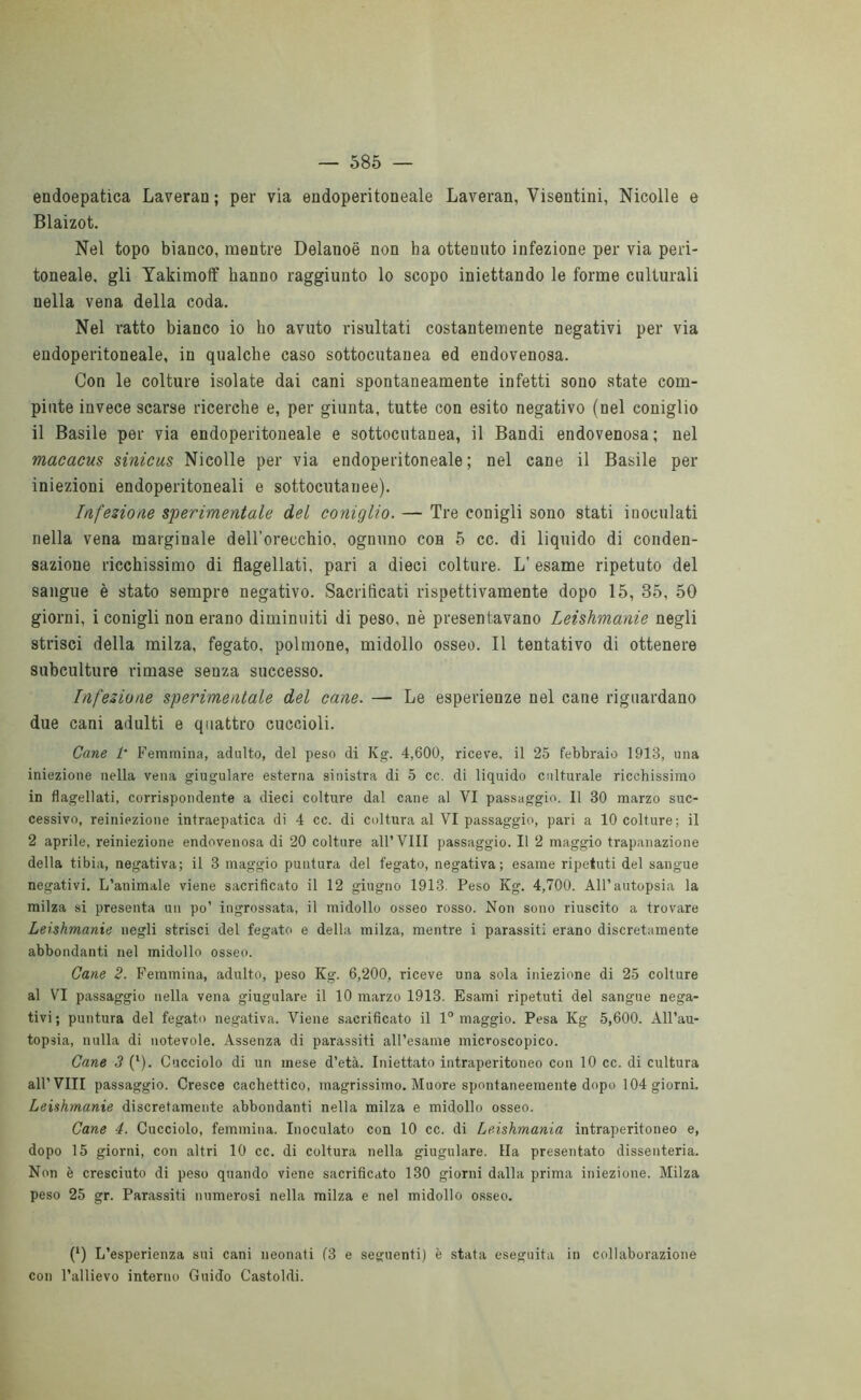 endoepatica Laverai]; per via endoperitoneale Laveran, Visentini, Nicolle e Blaizot. Nel topo bianco, mentre Delanoe non ha ottenuto infezione per via peri- toneale, gli Yakimoff hanno raggiunto lo scopo iniettando le forme culturali nella vena della coda. Nel ratto bianco io ho avuto risultati costantemente negativi per via endoperitoneale, in qualche caso sottocutanea ed endovenosa. Con le colture isolate dai cani spontaneamente infetti sono state com- piute invece scarse ricerche e, per giunta, tutte con esito negativo (nel coniglio il Basile per via endoperitoneale e sottocutanea, il Bandi endovenosa; nel macacus sinicus Nicolle per via endoperitoneale; nel cane il Basile per iniezioni endoperitoneali e sottocutanee). Infezione sperimentale del coniglio. — Tre conigli sono stati inoculati nella vena marginale dell’orecchio, ognuno con 5 cc. di liquido di conden- sazione ricchissimo di flagellati, pari a dieci colture. L' esame ripetuto del sangue è stato sempre negativo. Sacrificati rispettivamente dopo 15, 85, 50 giorni, i conigli non erano diminuiti di peso, nè presentavano Leishmanie negli strisci della milza, fegato, polmone, midollo osseo. Il tentativo di ottenere subculture rimase senza successo. Infezione sperimentale del cane. — Le esperienze nel cane riguardano due cani adulti e quattro cuccioli. Cane 1‘ Femmina, adulto, del peso di Kg. 4,600, riceve, il 25 febbraio 1913, una iniezione nella vena giugulare esterna sinistra di 5 cc. di liquido culturale ricchissimo in flagellati, corrispondente a dieci colture dal cane al VI passaggio. Il 30 marzo suc- cessivo, reiniezione intraepatica di 4 cc. di coltura al VI passaggio, pari a 10 colture; il 2 aprile, reiniezione endovenosa di 20 colture all’Vili passaggio. Il 2 maggio trapanazione della tibia, negativa; il 3 maggio puntura del fegato, negativa; esame ripetuti del sangue negativi. L’animale viene sacrificato il 12 giugno 1918. Peso Kg. 4,700. All’autopsia la milza si presenta un po’ ingrossata, il midollo osseo rosso. Non sono riuscito a trovare Leishmanie negli strisci del fegato e della milza, mentre i parassiti erano discretamente abbondanti nel midollo osseo. Cane 2. Femmina, adulto, peso Kg. 6,200, riceve una sola iniezione di 25 colture al VI passaggio nella vena giugulare il 10 marzo 1913. Esami ripetuti del sangue nega- tivi; puntura del fegato negativa. Viene sacrificato il 1° maggio. Pesa Kg 5,600. All’au- topsia, nulla di notevole. Assenza di parassiti all’esame microscopico. Cane 3 (l). Cucciolo di un mese d’età. Iniettato intraperitoneo con 10 cc. di cultura all’Vili passaggio. Cresce cachettico, magrissimo. Muore spontaneemente dopo 104 giorni. Leishmanie discretamente abbondanti nella milza e midollo osseo. Cane 4. Cucciolo, femmina. Inoculato con 10 cc. di Leishmania intraperitoneo e, dopo 15 giorni, con altri 10 cc. di coltura nella giugulare. Ha presentato dissenteria. Non è cresciuto di peso quando viene sacrificato 130 giorni dalla prima iniezione. Milza peso 25 gr. Parassiti numerosi nella milza e nel midollo osseo. (‘) L’esperienza sui cani neonati (3 e seguenti) è stata eseguita in collaborazione con l’allievo interno Guido Castoldi.