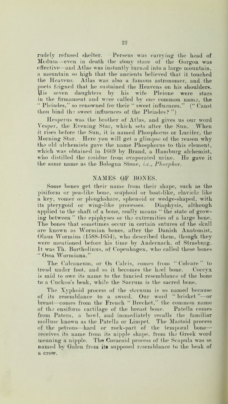 rudely refused shelter. Perseus was carrying the head of Medusa—even in death the stony stare of the Gorgon was effective-—and Atlas was instantly turned into a large mountain, a mountain so high that the ancients believed that it touched the Heavens. Atlas was also a famous astronomer, and the poets feigned that he sustained the Heavens on his shoulders. His seven daughters by his wife Pleione were stars in the firmament and were called by one common name, the “ Pleiades,” so renowned for their “ sweet influences.” (“ Canst thou bind the sweet influences of the Pleiades?”) Hesperus was the brother of Atlas, and gives us our word Vesper, the Evening Star, which sets after the Sun. When it rises before the Sun, it is named Phosphorus or Lucifer, the Morning Star. Here you will get a glimpse of file reason why the old alchemists gave the name Phosphorus to- this element, which was obtained in l(>(i9 by Brand, a Hamburg alchemist, who distilled the residue from evaporated urine. He gave it the same name as the Bologna Stone, i.e., Phosphor. NAMES OF BONES. Some bones get their name from their shape, such as the pisiform or pea-like bone, scaphoid or boat-like, clavicle like a key, vomer or ploughshare, sphenoid or wedge-shaped, with its pterygoid or wing-like processes. Diaphysis, although applied to the shaft of a bone, really means “ the state of grow- ing between ” the epiphyses or the extremities of a large bone. The bones that sometimes occur in certain sutures of the skull are known as Wormian bones, after the Danish Anatomist, Olaus Wormius (1588-1054), who described them, though they were mentioned before his time by Andernach, of Strasburg. It was Th. Bartholinus, of Copenhagen, who called these bones “ Ossa Wormiana.” The Calcaneum, or Os Calcis, conies from “ Col care ” to tread under foot, and so it becomes the heel bone. Coccyx is said to owe its name to the fancied resemblance of the bone to a Cuckoo’s beak, while the Sacrum is the sacred bone. The Xyphoid process of the sternum is so named because of its resemblance to- a sword. Our word “brisket”—or breast—conies from the French “ Brechet,” the common name of the ensiform cartilage of the breast bone. Patella comes from Patera, a bowl, and immediately recalls the familiar mollusc known as the Patella or Limpet. The Mastoid process of the petrous—hard or rock-part of the temporal bone— receives its name from its nipple shape, from the Greek word meaning a nipple. The Coracoid process of the Scapula was so named by Galen from it# supposed resemblance to the beak of a crow.