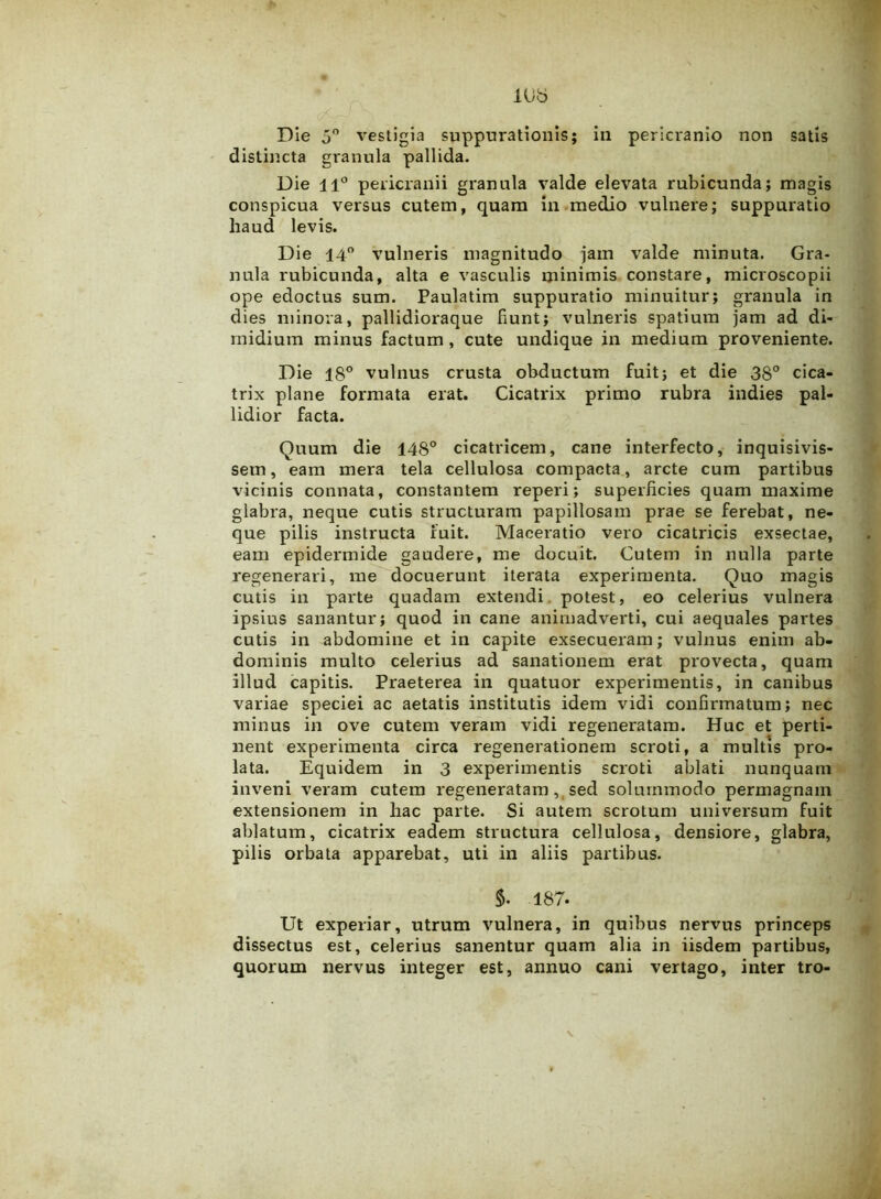 distincta granula pallida. Die 11° pericranii granula valde elevata rubicunda; magis conspicua versus cutem, quam in medio vulnere; suppuratio haud levis. Die 14° vulneris magnitudo jam valde minuta. Gra- nula rubicunda, alta e vasculis minimis constare, microscopii ope edoctus sum. Paulatim suppuratio minuitur; granula in dies minora, pallidioraque fiunt; vulneris spatium jam ad di- midium minus factum, cute undique in medium proveniente. Die 18° vulnus crusta obductum fuit; et die 38° cica- trix plane formata erat. Cicatrix primo rubra indies pal- lidior facta. Quum die 148° cicatricem, cane interfecto, inquisivis- sem, eam mera tela cellulosa compacta, arcte cum partibus vicinis connata, constantem reperi; superficies quam maxime glabra, neque cutis structuram papillosam prae se ferebat, ne- que pilis instructa fuit. Maceratio vero cicatricis exsectae, eam epidermide gaudere, me docuit. Cutem in nulla parte regenerari, me docuerunt iterata experimenta. Quo magis cutis in parte quadam extendi potest, eo celerius vulnera ipsius sanantur; quod in cane animadverti, cui aequales partes cutis in abdomine et in capite exsecueram; vulnus enim ab- dominis multo celerius ad sanationem erat provecta, quam illud capitis. Praeterea in quatuor experimentis, in canibus variae speciei ac aetatis institutis idem vidi confirmatum; nec minus in ove cutem veram vidi regeneratam. Huc et perti- nent experimenta circa regenerationem scroti, a multis pro- lata. Equidem in 3 experimentis scroti ablati nunquam inveni veram cutem regeneratam, sed solummodo permagnam extensionem in hac parte. Si autem scrotum universum fuit ablatum, cicatrix eadem structura cellulosa, densiore, glabra, pilis orbata apparebat, uti in aliis partibus. §. 187. Ut experiar, utrum vulnera, in quibus nervus princeps dissectus est, celerius sanentur quam alia in iisdem partibus, quorum nervus integer est, annuo cani vertago, inter tro-