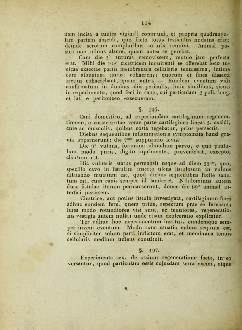 nem incisa a tunica viginali communi, et propria quadrangu- lam partem abscidi, quo facto totus, testiculus nudatus erat; deinde scrotum compluribus suturis reunivi. Animal po- stea non minus alacre, quam antea se gerebat. Cum die 2° suturas removissem, reunio jam perfecta erat. Milii die 108° cicatricem inquirenti se offerebat loco tu- nicae exsectae partis membranula cellularis tenuissima, intime cum albuginea tunica cohaerens; quocum et fines dissecti arctius cohaerebant, quam antea. — Eundem eventum vidi confirmatum in duobus aliis periculis, huic similibus, sicuti in experimento, quod feci in cane, cui particulam 2 poli. long. et lat. e peritonaeo exsecueram. §• 196. Cani domestico, ad experiundam cartilaginum regenera- tionem , e costae sextae verae parte cartilaginea lineas 5. excidi, cute ac musculis, quibus costa tegebatur, prius persectis. Diebus sequentibus inflammationis symptomata haud gra- via apparuerunt; die 7mo suppuratio levis. Die 90 vulnus, foramine admodum parvo, e quo paulu- lum modo puris, digito inprimente, proveniebat, excepto, clausum est. Hic vulneris status permansit usque ad diem 25nm, quo, specillo cavo in fistulam inserto ulcus fistulosum in vulnus dilatando mutatum est, quod diebus sequentibus facile sana- tum est, cum canis semper id lamberet. Nihilominus autem duae fistulae iterum permanserunt, donec die 690 animal in- terfici j ussissem. Cicatrice, aut potius fistula investigata, cartilaginum fines adhuc eundem fere, quem prius, aspectum prae se ferebant; fines modo rotundiores visi sunt, ac tenuiores; regeneratio- nis vestigia autem nulla; unde etiam exulceratio explicatur. Ter adhuc hoc experimentum institui, eundemque sem- per inveni eventum. Modo tunc sanatio vulnus sequuta est, si simpliciter solum parti inflictum erat; et membrana tenuis cellularis medium uniens constituit. Experimenta sex, de ossium regeneratione facta, in-eo versantur, quod particulam ossis cujusdam serra exemi, atque *