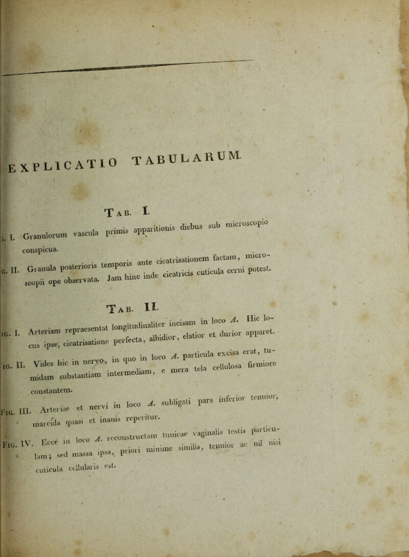 E XPL1CAT10 TABULARUM. Tab. 1. nrimis apparitionis diebus sub microscopio Granulorum vascula 1 „ conspicua. • cicatrisationem factam, nucro- cus ipse, cicati'isatione perfecta, allntl . , ovat- 111— Clio in auo in loco A. particula excisa erat, u- I. Vides hic in nervo, m q 6rmiofe niidam substantiam intermediam, e meia tela constantem. CUIiotuue'-** , nervi in loco A. subligati pars infer» temno, II. Arteriae et nei\i m marcida quasi et inanis «peritur. lnaiviu» -i r , loro A. «constructam tunicae vaginalis testis partau- Ecce , ioco mimme simiUs, tenuior ac nd -usi lam; sed massa ipsa», pn cuticula cellularis csl.