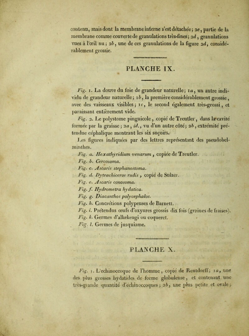 contenu, mais dont la membrane interne s’est détachée ; 2e, partie de la membrane comme couverte de granulations très-fines ; 2d, granulations vues à l’œil nu; 2Z», une de ces granulations de la figure 2dy considé- rablement grossie. «WI\lVlVW1tlVU«A\1WVI PLANCHE IX. Fig. 1. La douve du foie de grandeur naturelle; 1 a, un autre indi- vidu de grandeur naturelle ; 1 b, la première considérablement grossie, avec des vaisseaux visibles; ic, le second également très-grossi, et paraissant entièrement vide. Fig. 2. Le polystome pinguicole, copié de Treutler, dans la1 cavité formée par la graisse ; 2a, id., vu d’un autre côté ; 2b, extrémité pré- tendue céphalique montrant les six suçoirs. Les figures indiquées par des lettres représentant des pseudohel- minthës. Fig. a. Hexathyridium venarum , copiée de Treutler. Fig. b. Cercosomci. Fig. c. Ascaris steplianostoma. Fig. d. Dytrachiceros rudis , copié de Suizer. Fig. e. Ascaris conosoma. Fig. f. Hydrometra hydatica. Fig. g. Diacantlios polycephalos. Fig. li. Concrétions polypeuses de Barnett. Fig. i. Prétendus œufs d’oxyures grossis dix fois (graines de fraises). Fig. k. Germes d’alkekengi ou coqueret. Fig. I. Germes de jusquiame. «wvumww uvnw PLANCHE X. Fig. 1. L’echinoccoque de l’homme, copié de Rentdorff; 1 a, une des plus grosses hydatides de forme globuleuse, et contenant une très-grande quantité d’échinoccoques; 2b, une phis petite et ovale;