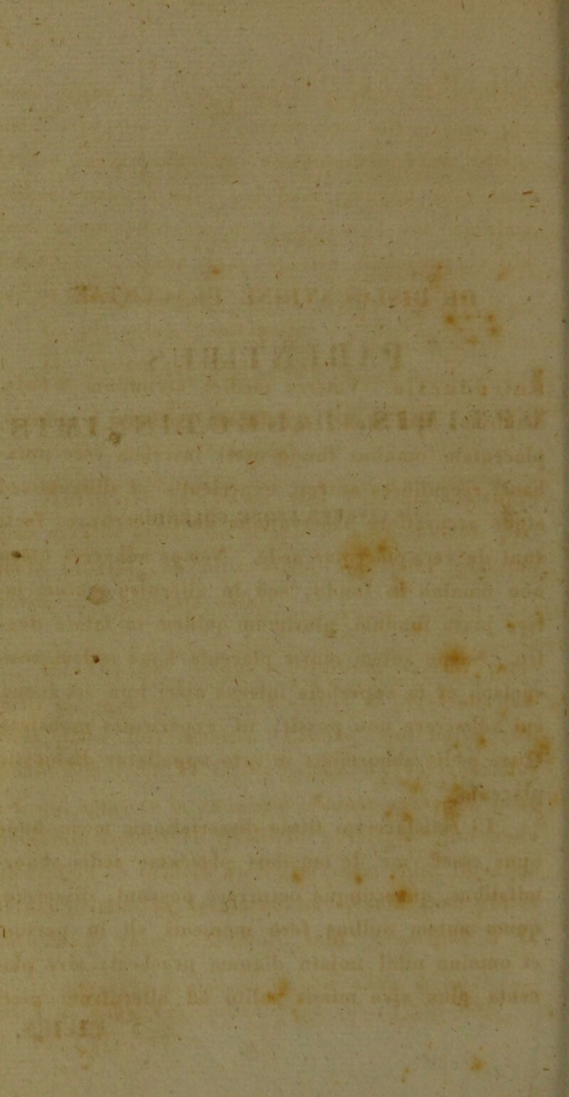 ; > i V 1 ■ ' • ' f r* S , « i • - - ; ” • . fc ; ; * v ' ^ ‘ ■> v ■ /1 * ■ » > y . . * V ■ : •. ' ■ ■ * * 1 w m, *W < • - '■ 7 «■ m * * * /1 i •«r • « ~ ]