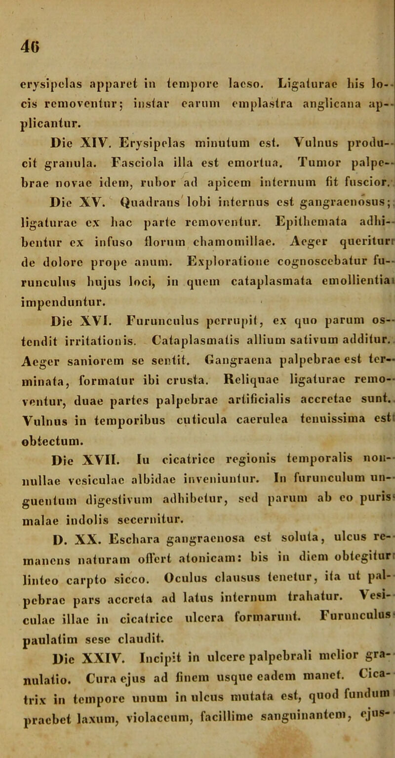 erysipelas apparet in tempore laeso. Ligaturae liis lo- cis removentur; instar earum emplastra anglicana ap- plicantur. D ie XIV. Erysipelas minutum est. Vulnus produ- cit granula. Fasciola illa est emortua. Tumor palpe- brae novae idem, rubor ad apicem internum fit fuscior. D ie XV. Quadrans lobi internus est gangraenosus; ligaturae ex hac parte removentur. Epithemata adhi- bentur ex infuso florum chamomillae. Aeger queriturr de dolore prope anum. Exploratione cognoscebatur fu- runculus hujus loci, in quem cataplasmata emollientia. impenduntur. Die XVI. Furunculus perrupit, ex quo parum os- tendit irritationis. Cataplasmatis allium sativum additur. Aeger saniorem se sentit. Gangraena palpebrae est ter- minata, formatur ibi crusta. Reliquae ligaturae remo- ventur, duae partes palpebrae artificialis accretae sunt. Vulnus in temporibus cuticula caerulea tenuissima est: obtectum. Die XVII. Iu cicatrice regionis temporalis non- nullae vesiculae albidae inveniuntur. In furunculum un- guentum digestivum adhibetur, sed parum ab eo puris- malae indolis secernitur. D. XX. Eschara gangraenosa est soluta, ulcus re- manens naturam offert atonicam: bis in diem obtegitur linteo carpto sicco. Oculus clausus tenetur, ita ut pal- pebrae pars accreta ad latus internum trahatur. Vesi- culae illae in cicatrice ulcera formarunt. Furunculus paulatim sese claudit. Die XXIV. Incipit in ulcere palpebrali melior gra- nulatio. Cura ejus ad finem usque eadem manet. Cica- trix in tempore unum in ulcus mutata est, quod fundum praebet laxum, violaceum, facillime sanguinantem, ejus-