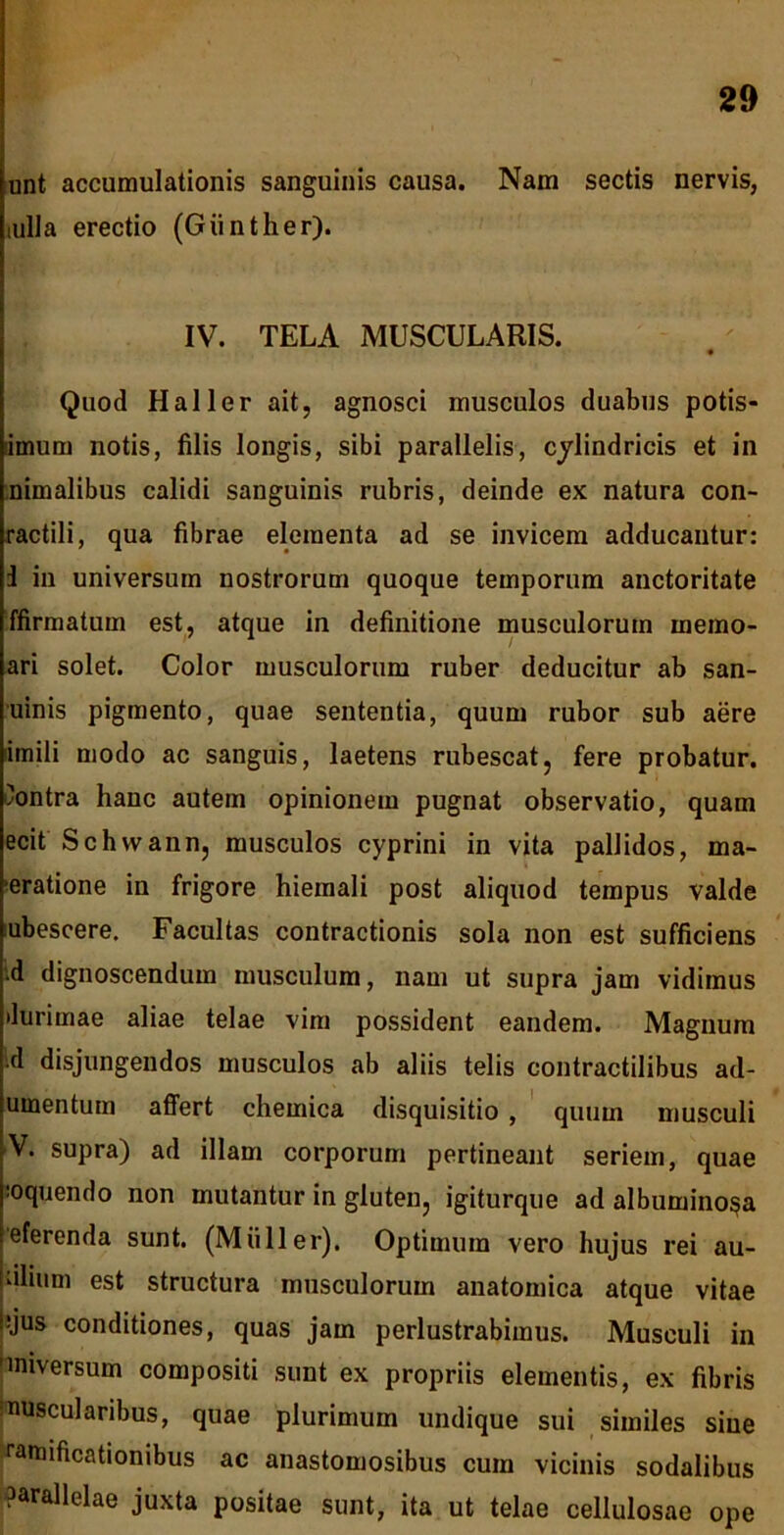 unt accumulationis sanguinis causa. Nam sectis nervis, tulla erectio (Giinther). IV. TELA MUSCULARIS. # Quod Hali er ait, agnosci musculos duabus potis- imum notis, filis longis, sibi parallelis, cylindricis et in nimalibus calidi sanguinis rubris, deinde ex natura con- ractili, qua fibrae elementa ad se invicem adducantur: I in universum nostrorum quoque temporum auctoritate ffirmatum est, atque in definitione musculorum inemo- ari solet. Color musculorum ruber deducitur ab san- uinis pigmento, quae sententia, quum rubor sub aere imili modo ac sanguis, laetens rubescat, fere probatur. Contra hanc autem opinionem pugnat observatio, quam ecit Schwann, musculos cyprini in vita pallidos, ma- ceratione in frigore hiemali post aliquod tempus valde ubescere. Facultas contractionis sola non est sufficiens •d dignoscendum musculum, nam ut supra jam vidimus durimae aliae telae vim possident eandem. Magnum d disjungendos musculos ab aliis telis contractilibus ad- umentum affert chemica disquisitio , quum musculi V. supra) ad illam corporum pertineant seriem, quae :oquendo non mutantur in gluten, igiturque ad albumino^a eferenda sunt. (Miiller). Optimum vero hujus rei au- ulium est structura musculorum anatomica atque vitae !;jus conditiones, quas jam perlustrabimus. Musculi in iniversum compositi sunt ex propriis elementis, ex fibris muscularibus, quae plurimum undique sui similes sine famificationibus ac anastomosibus cum vicinis sodalibus parallelae juxta positae sunt, ita ut telae cellulosae ope